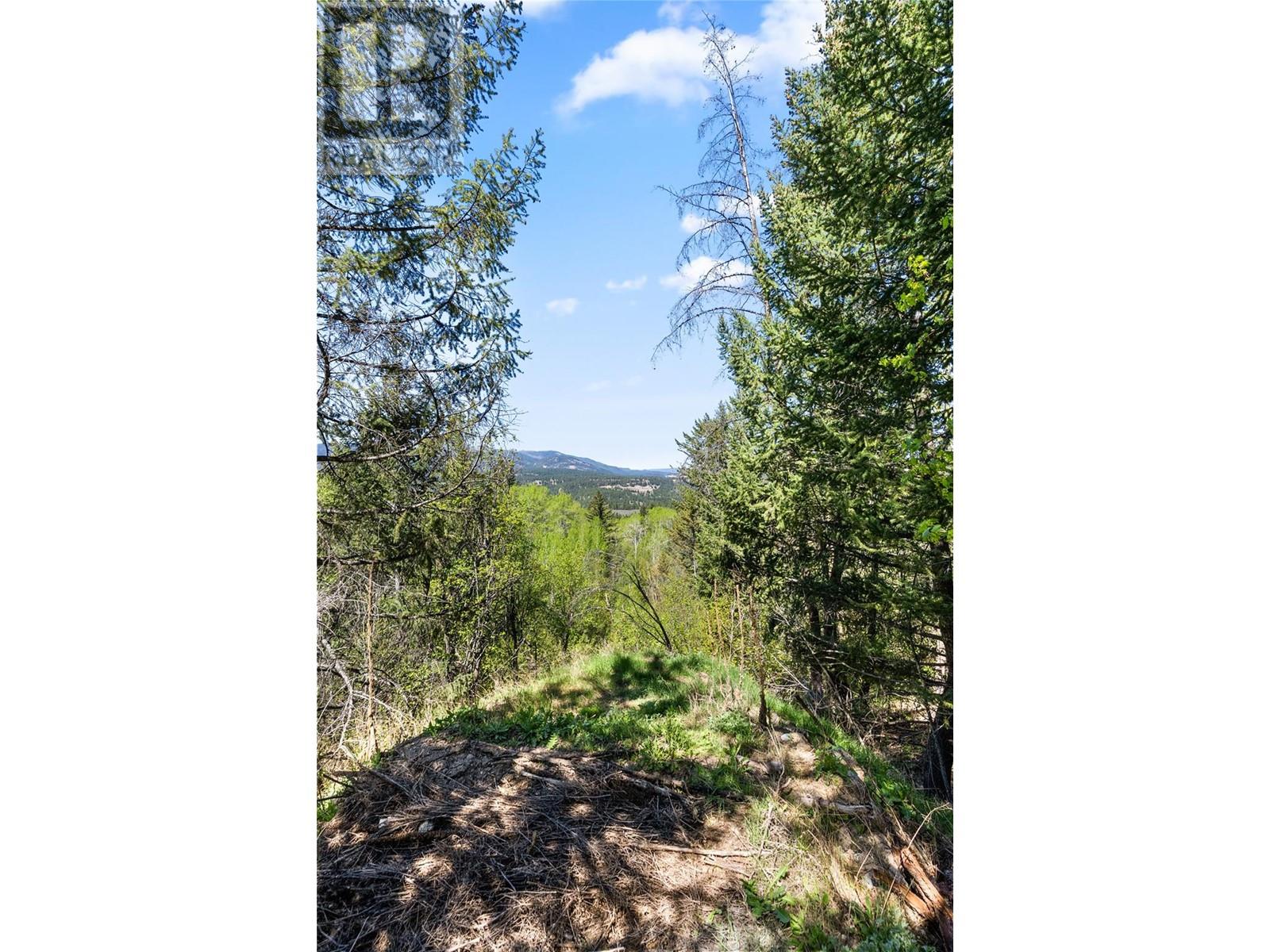 977 Allenby Road, Princeton, British Columbia  V0X 1W0 - Photo 21 - 10348364