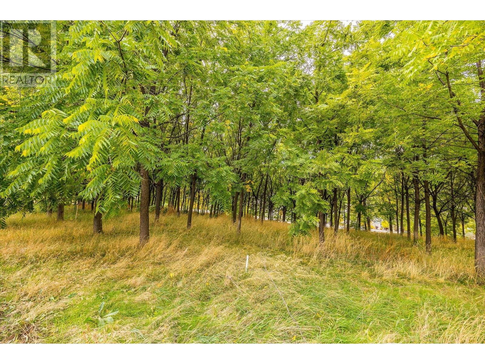 848 Webster Road, Kelowna, British Columbia  V1P 1C2 - Photo 5 - 10348388