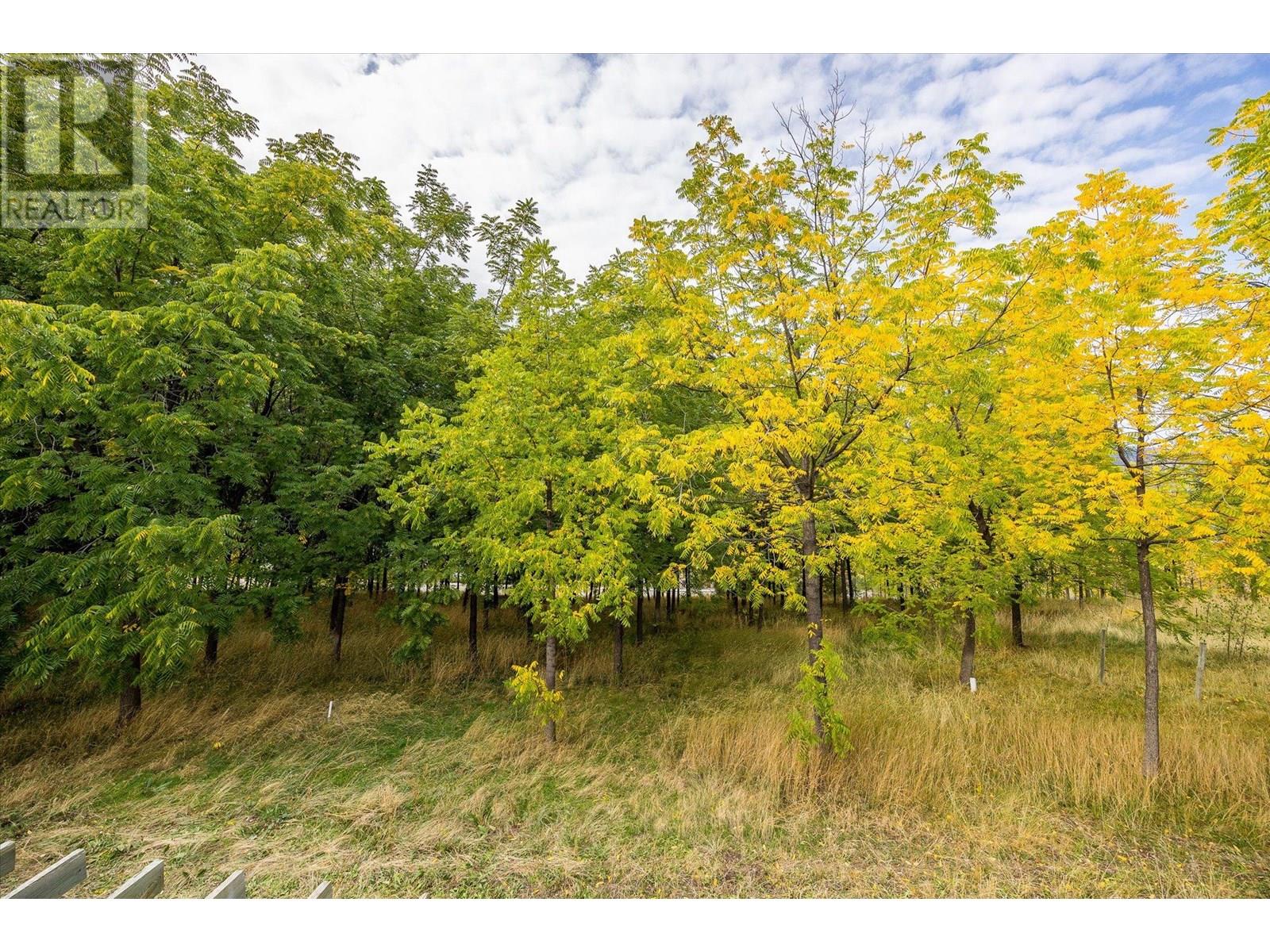 848 Webster Road, Kelowna, British Columbia  V1P 1C2 - Photo 44 - 10348386