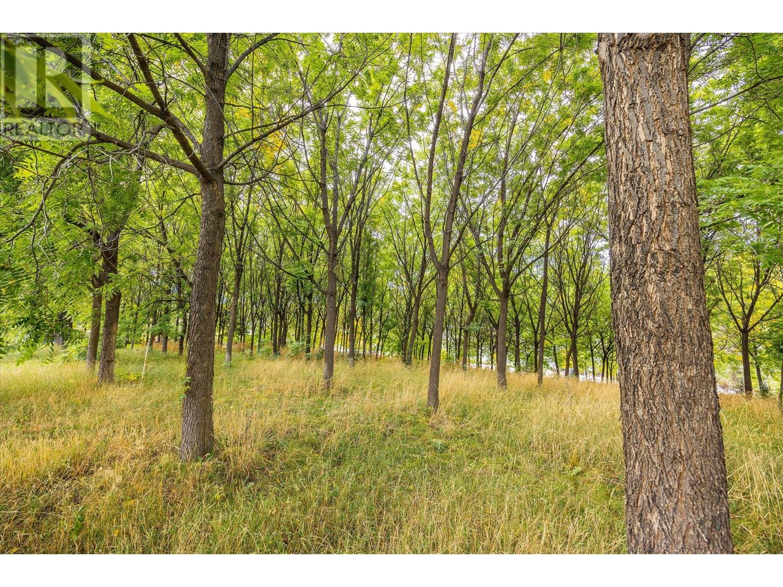 848 Webster Road, Kelowna, British Columbia  V1P 1C2 - Photo 6 - 10348386