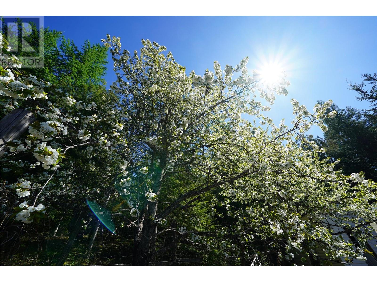 425 Alexander Road, Procter, British Columbia  V1L 0B5 - Photo 3 - 10348279