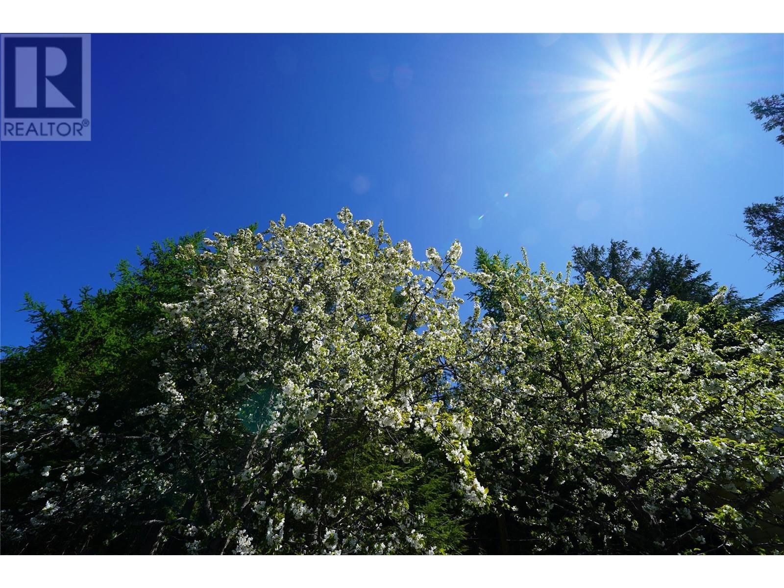 425 Alexander Road, Procter, British Columbia  V1L 0B5 - Photo 4 - 10348279