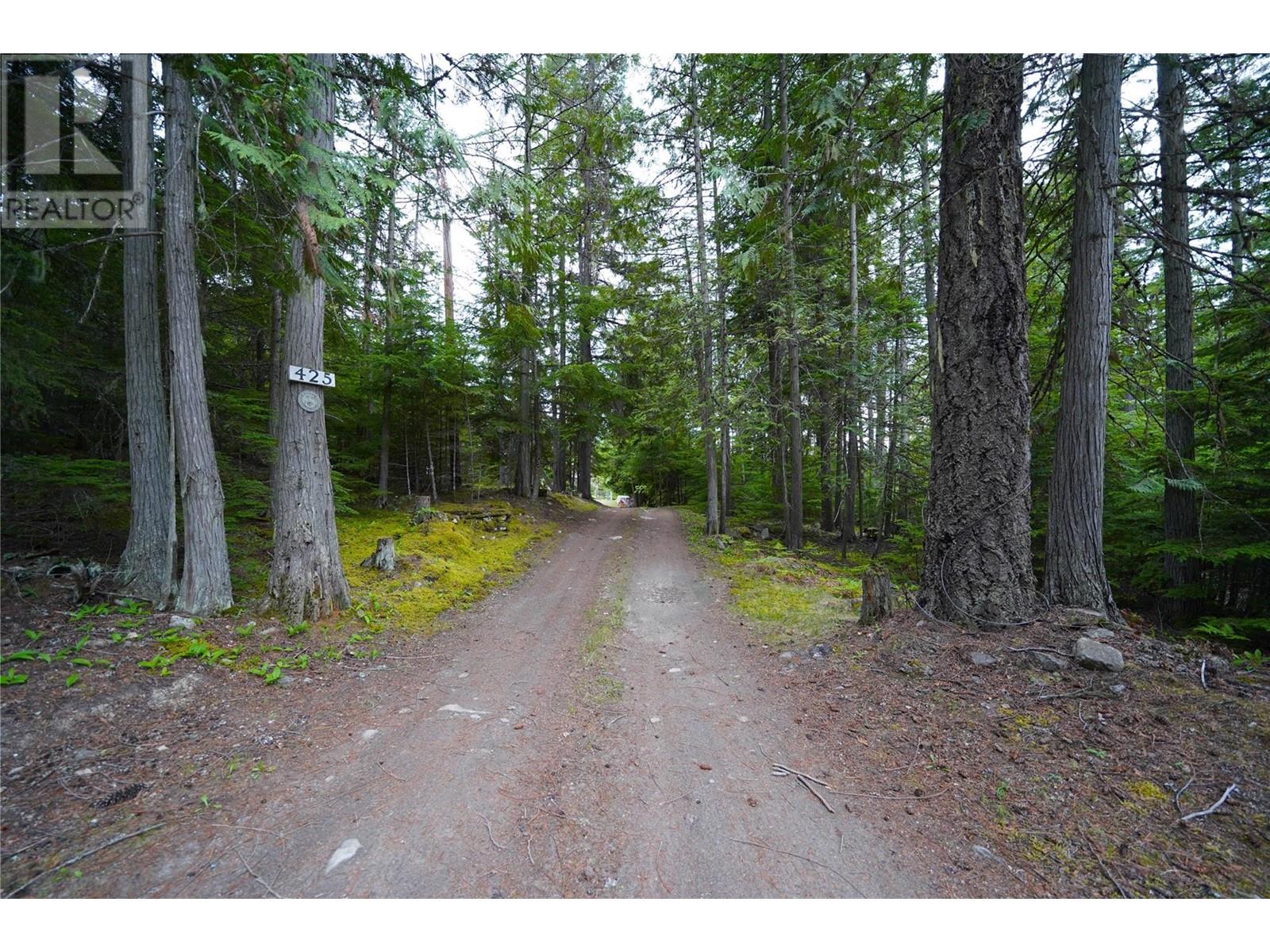 425 Alexander Road, Procter, British Columbia  V1L 0B5 - Photo 79 - 10348279