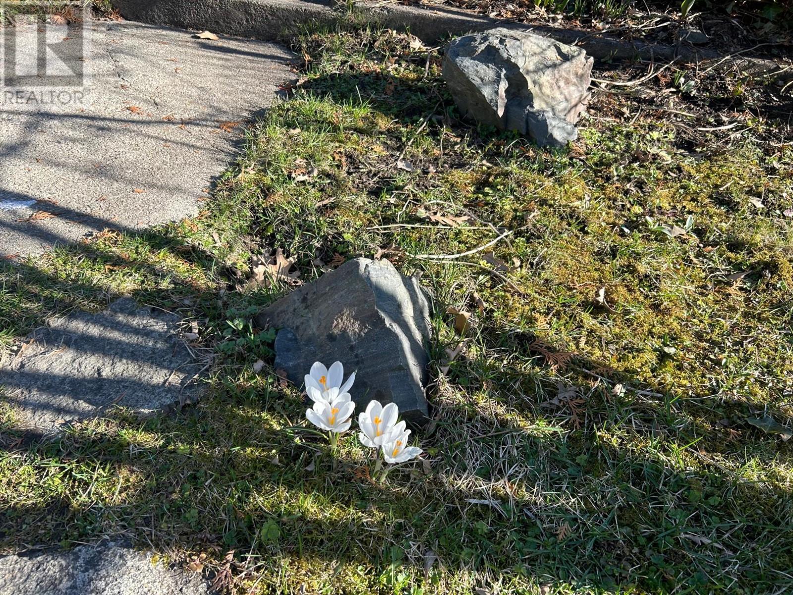 311 Gore Street, Nelson, British Columbia  V1L 5B8 - Photo 34 - 10348251