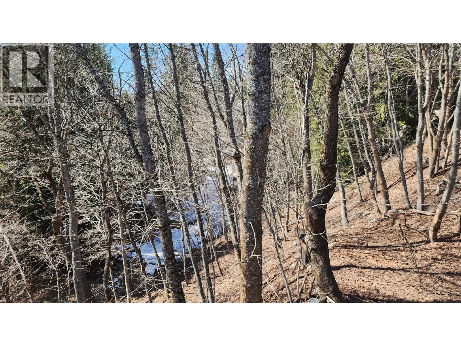 2165 Spokane Street, Rossland, British Columbia  V0G 1Y0 - Photo 17 - 10345005