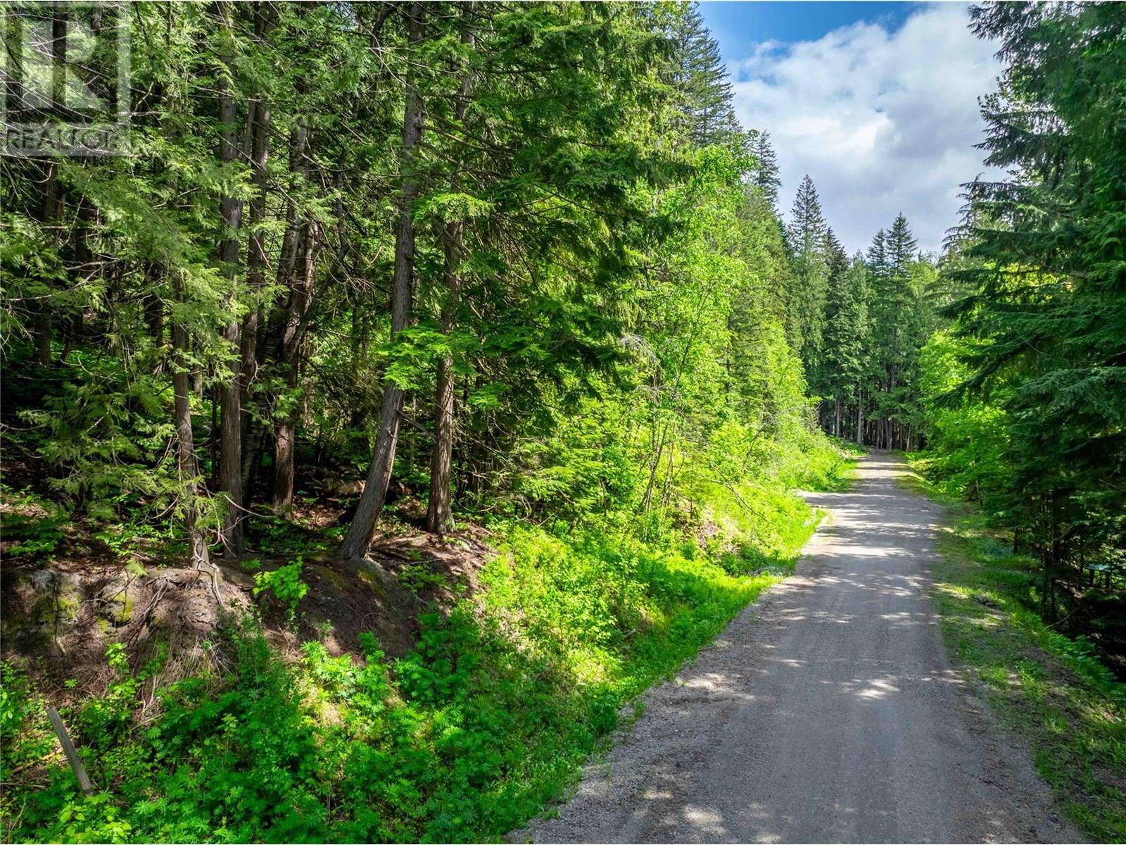 714 Cedar Street, Revelstoke, British Columbia  V0E 2S0 - Photo 3 - 10348586