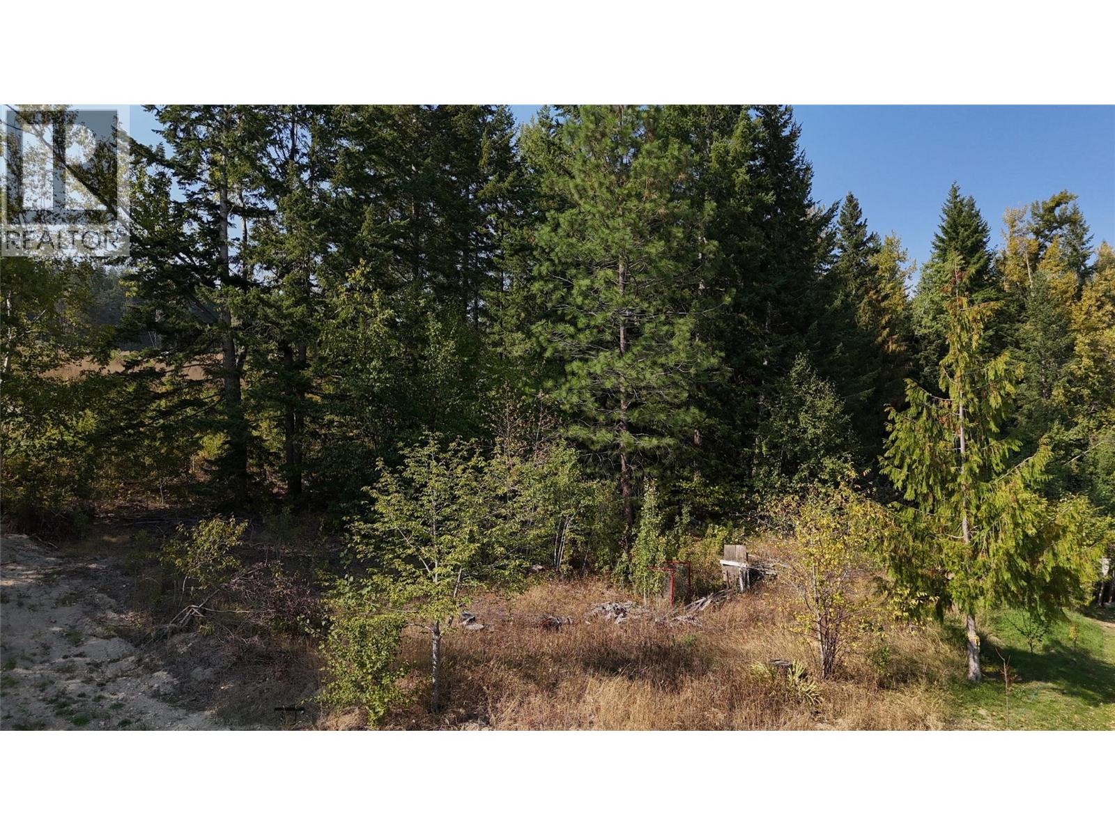 4981 5 Avenue Sw, Salmon Arm, British Columbia  V1E 2Y9 - Photo 12 - 10348746