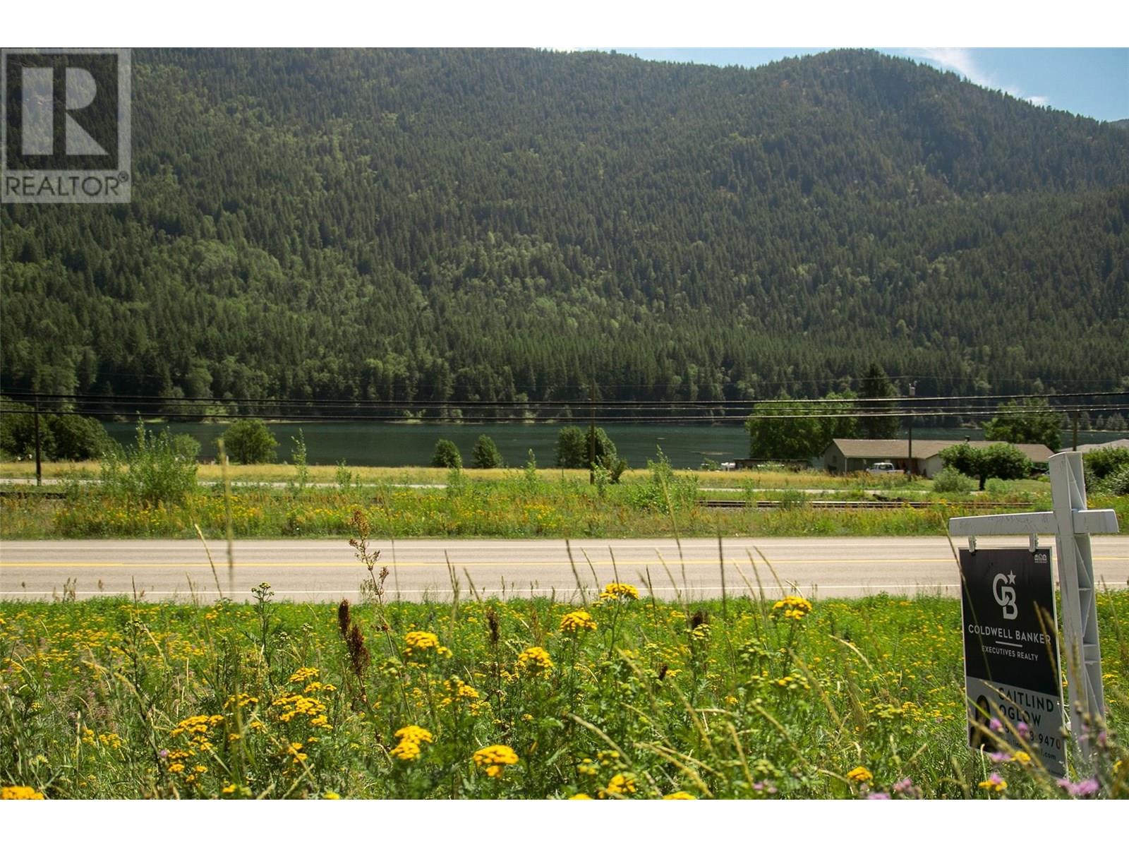 1411 Chalmers Road, Castlegar, British Columbia  V1N 4M7 - Photo 13 - 10349244