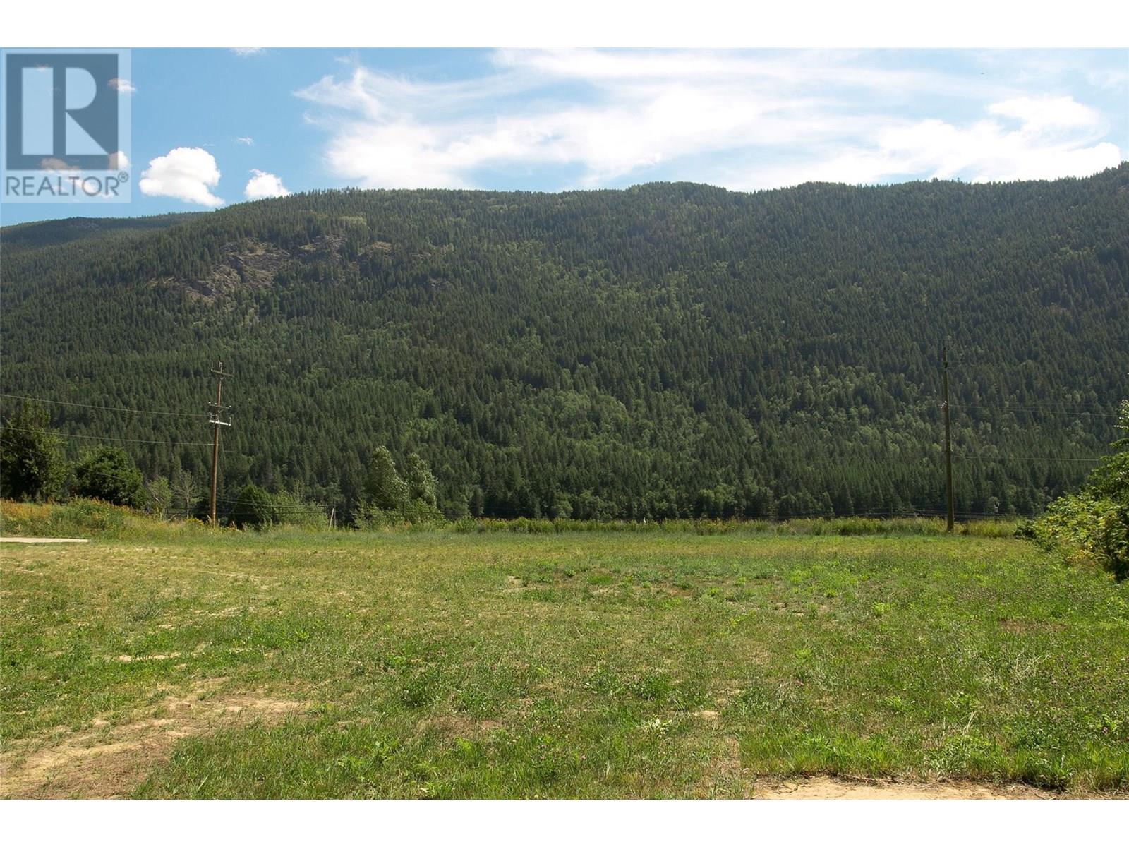 1411 Chalmers Road, Castlegar, British Columbia  V1N 4M7 - Photo 16 - 10349244