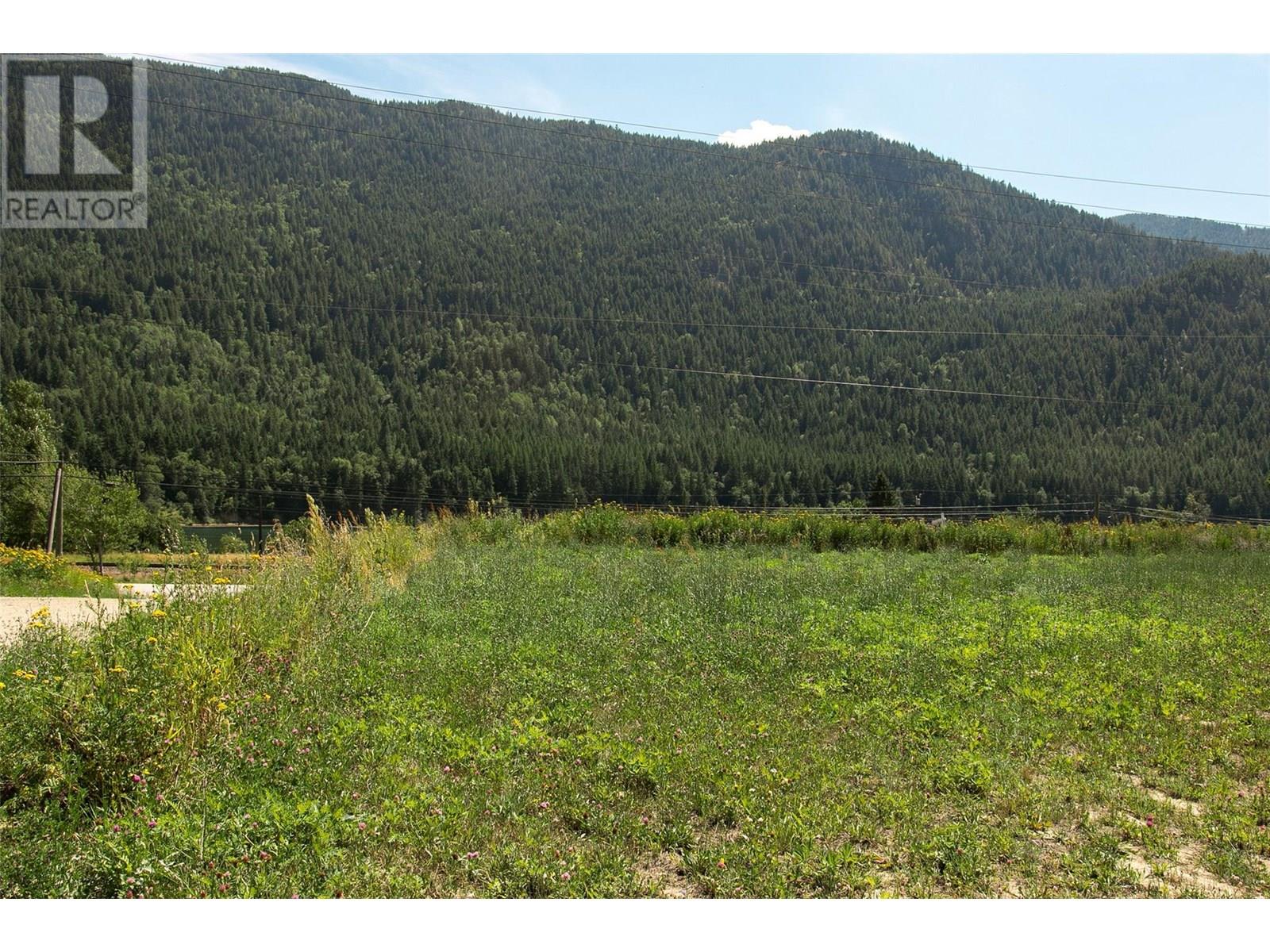 1411 Chalmers Road, Castlegar, British Columbia  V1N 4M7 - Photo 27 - 10349244