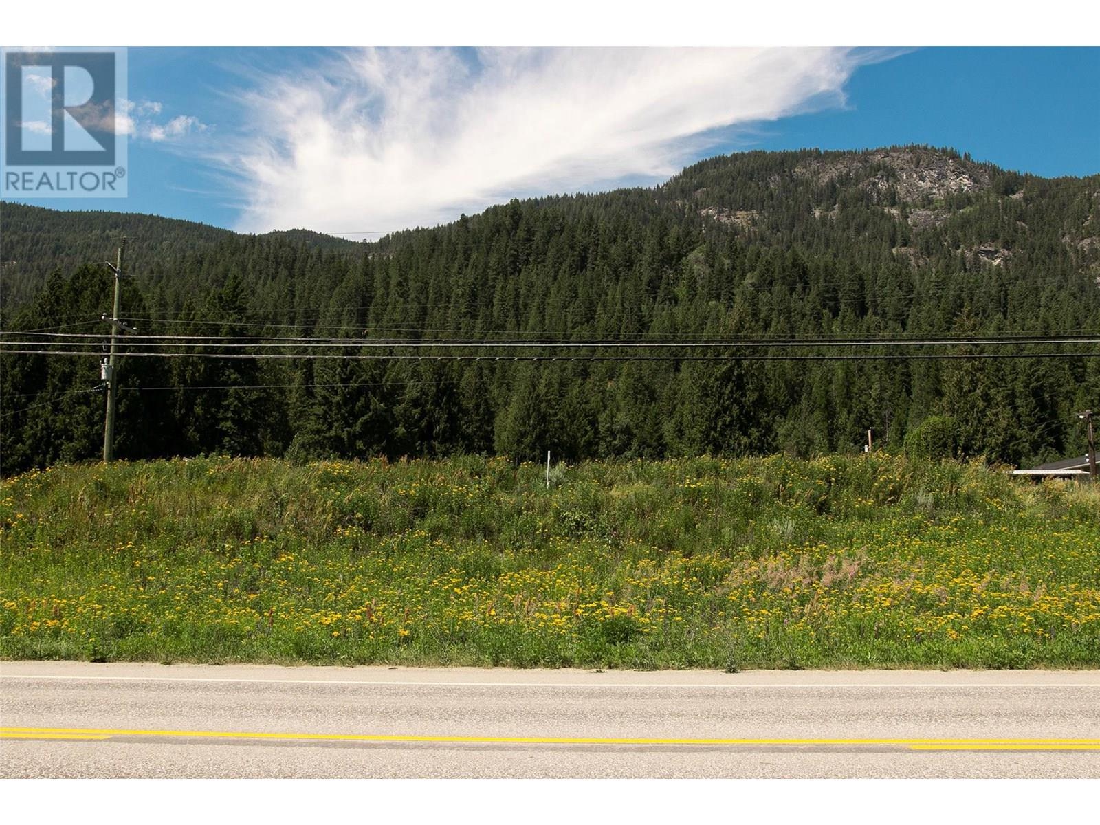 1411 Chalmers Road, Castlegar, British Columbia  V1N 4M7 - Photo 32 - 10349244