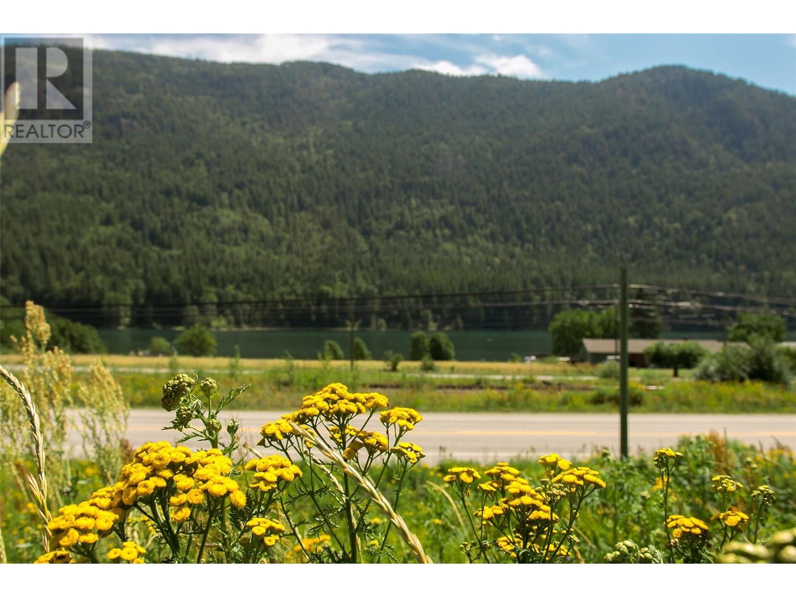 1411 Chalmers Road, Castlegar, British Columbia  V1N 4M7 - Photo 34 - 10349244