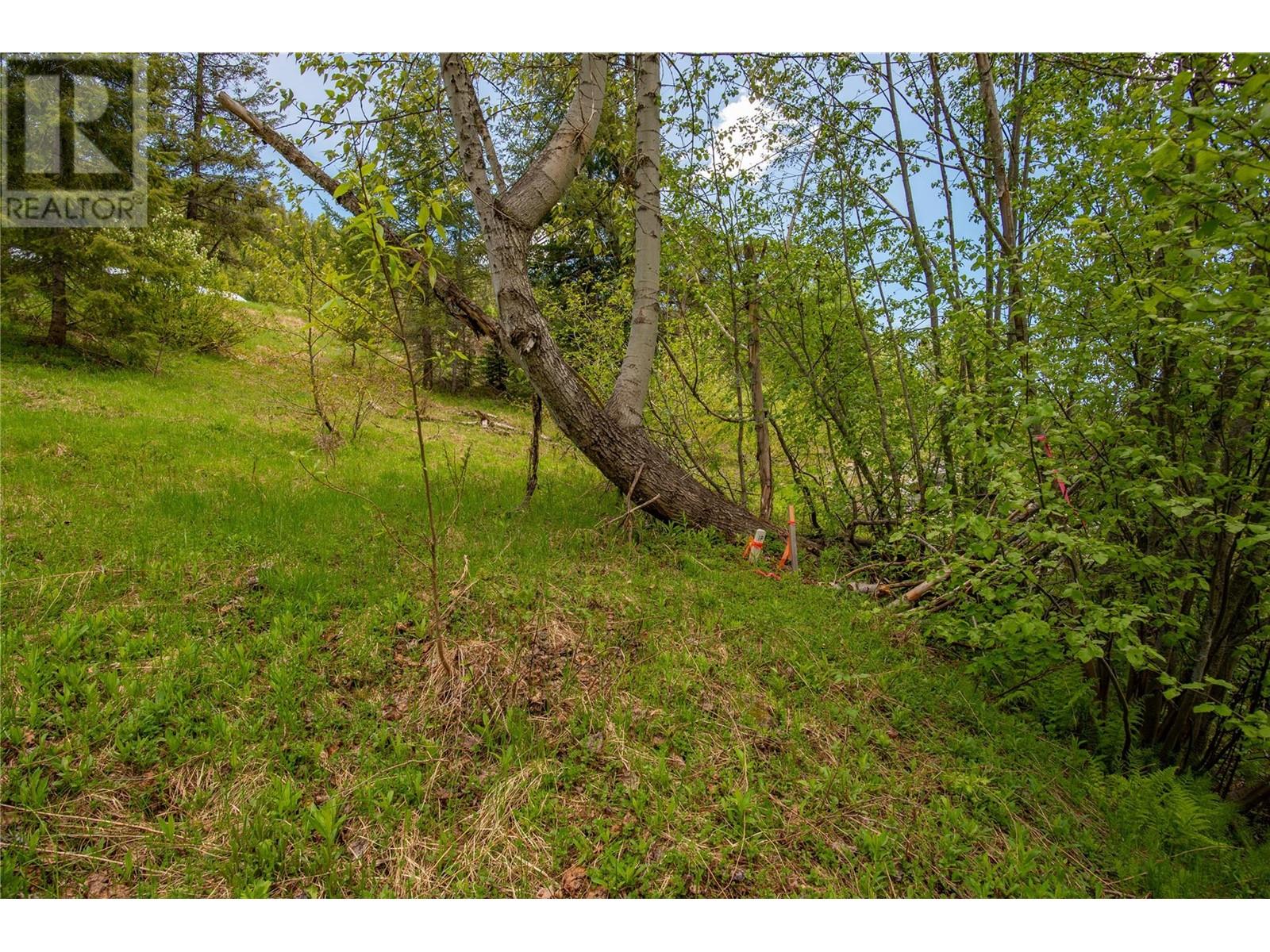 201 Joliffe Way, Rossland, British Columbia  V0G 1Y0 - Photo 41 - 10349320