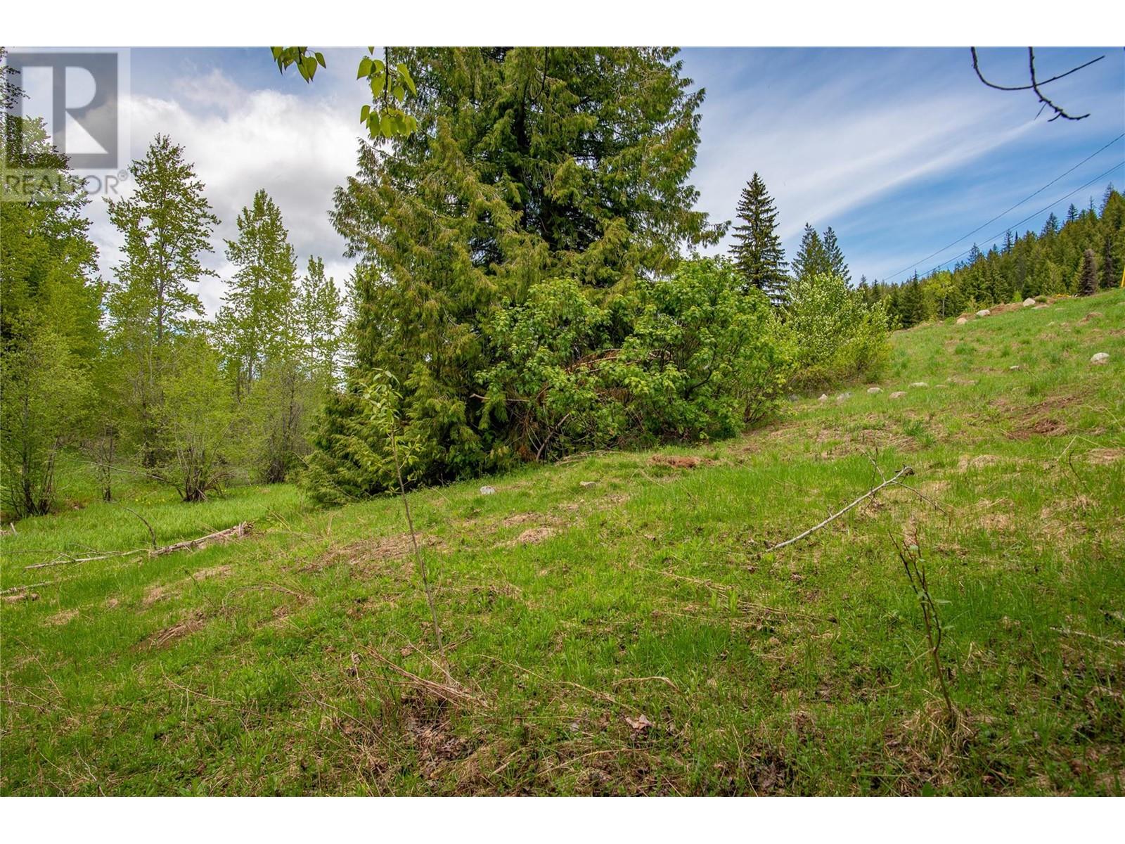 201 Joliffe Way, Rossland, British Columbia  V0G 1Y0 - Photo 42 - 10349320