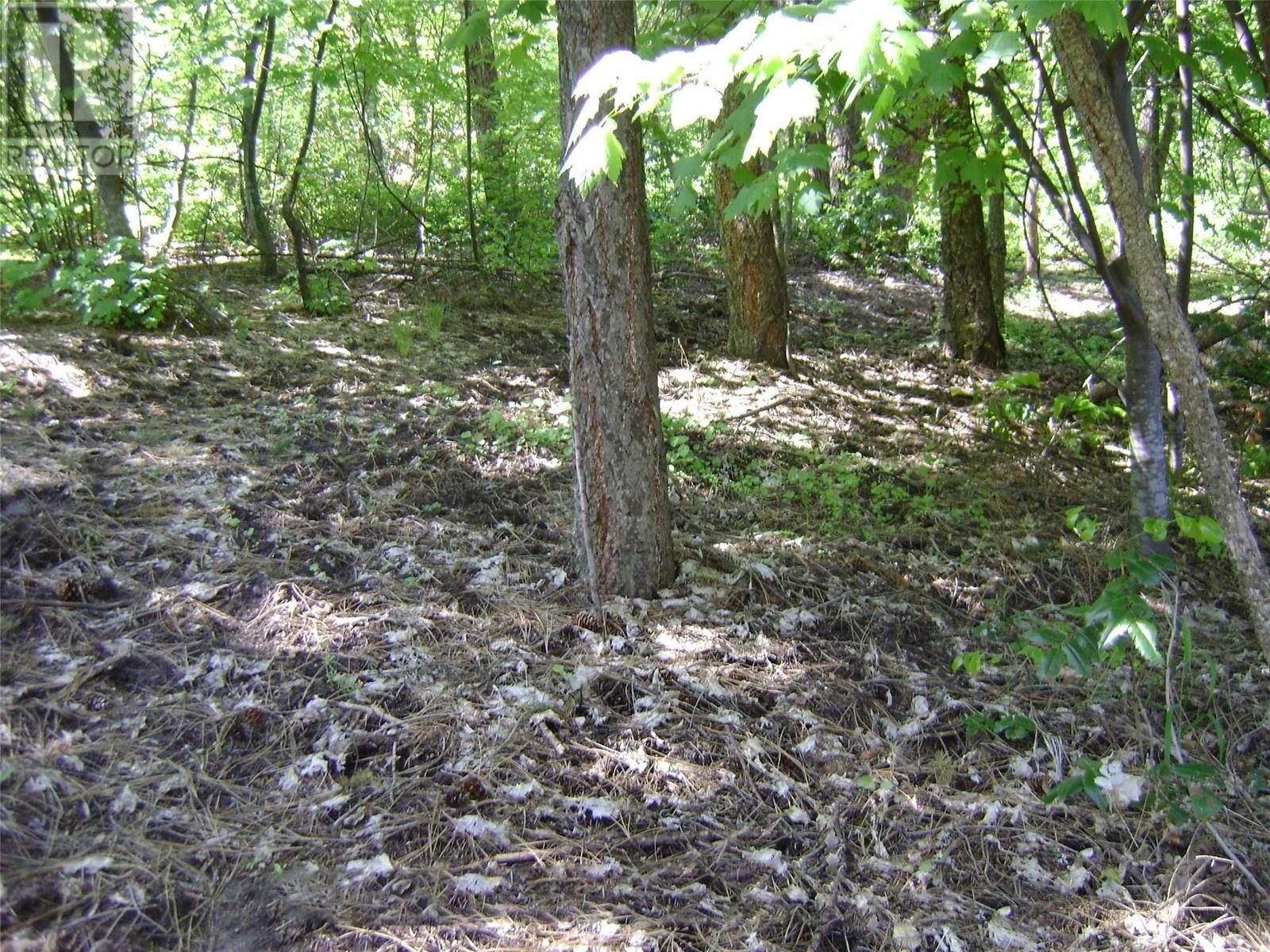 9475 Kilkenny Place Lot# 180, Vernon, British Columbia  V1H 2C4 - Photo 11 - 10349425