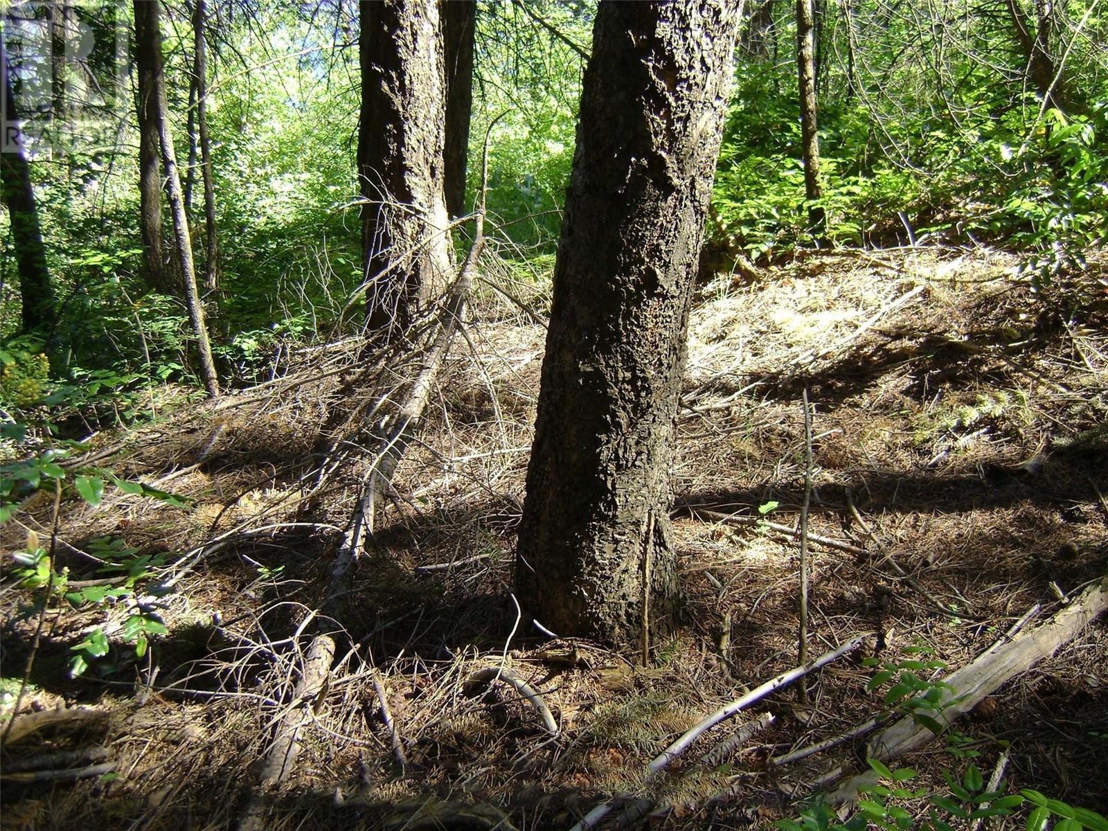 9475 Kilkenny Place Lot# 180, Vernon, British Columbia  V1H 2C4 - Photo 12 - 10349425