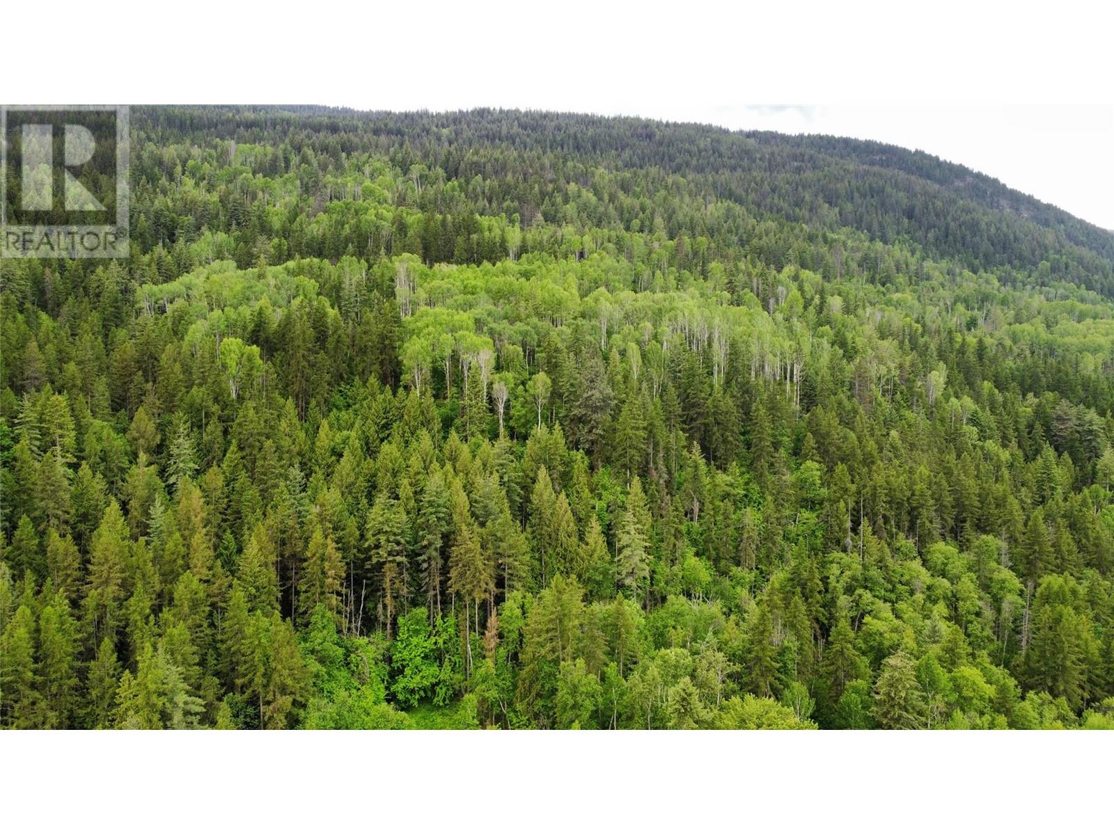 Lot 7 And Lot 8 Arrow Lakes Drive, Castlegar, British Columbia  V1N 3N3 - Photo 11 - 10349721