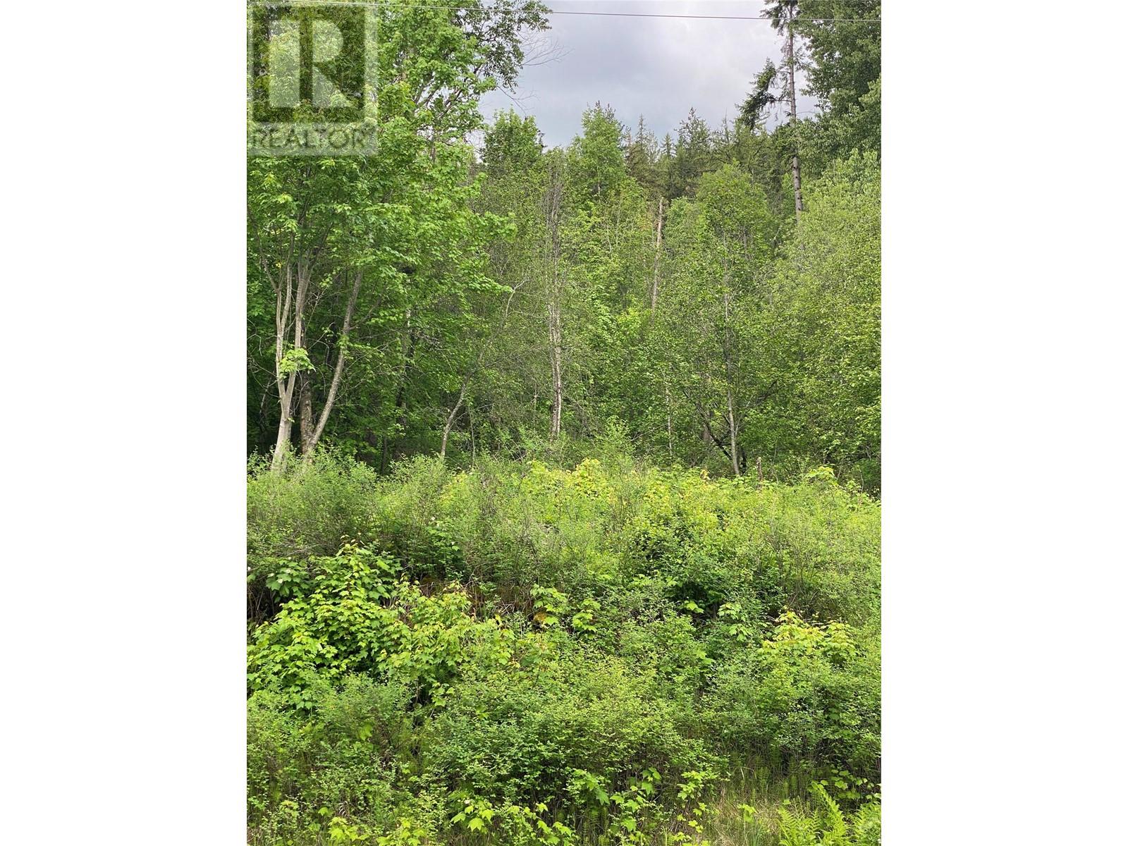 Lot 7 And Lot 8 Arrow Lakes Drive, Castlegar, British Columbia  V1N 3N3 - Photo 17 - 10349721