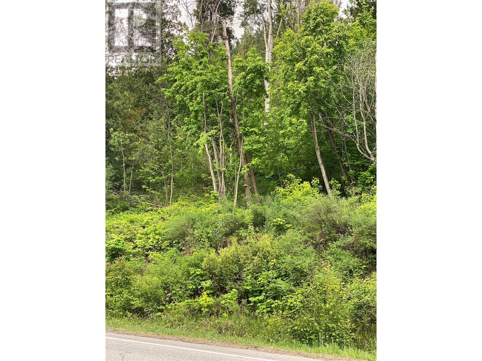 Lot 7 And Lot 8 Arrow Lakes Drive, Castlegar, British Columbia  V1N 3N3 - Photo 20 - 10349721