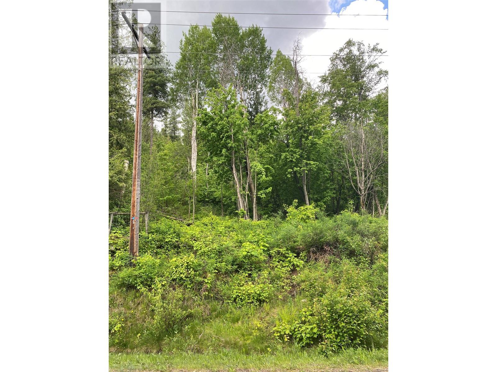 Lot 7 And Lot 8 Arrow Lakes Drive, Castlegar, British Columbia  V1N 3N3 - Photo 21 - 10349721