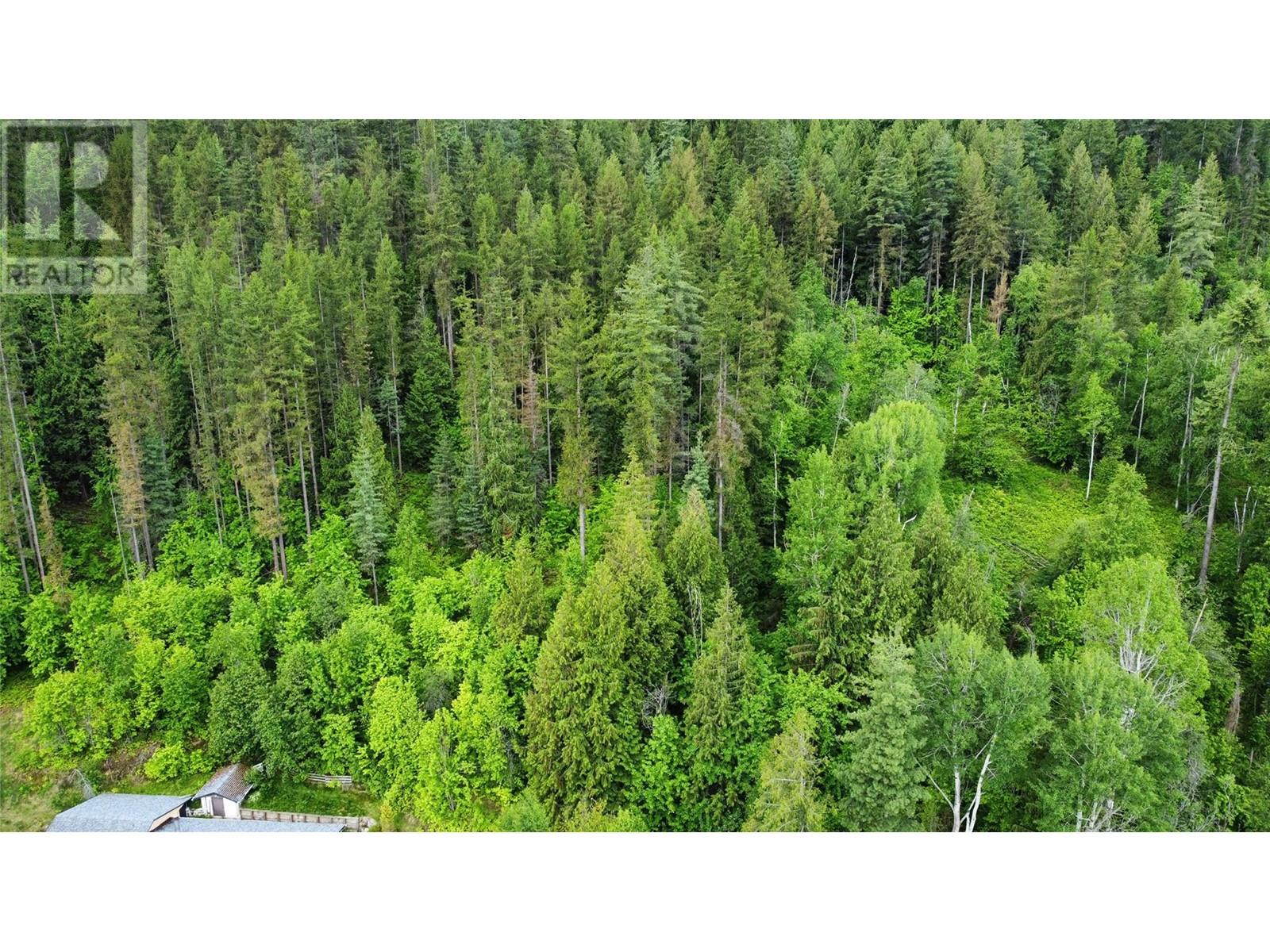 Lot 7 And Lot 8 Arrow Lakes Drive, Castlegar, British Columbia  V1N 3N3 - Photo 6 - 10349721