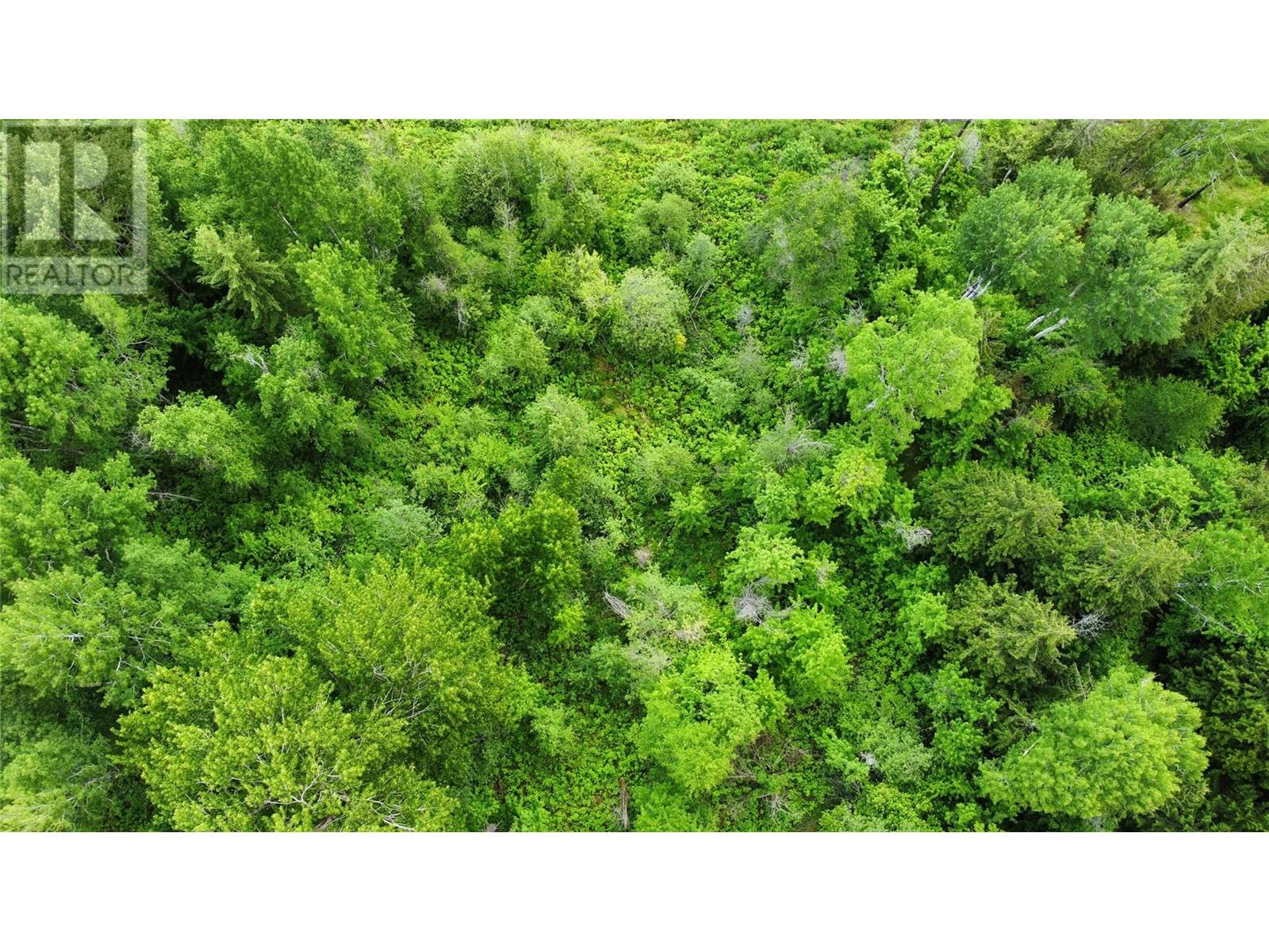 Lot 1 - 9 Arrow Lakes Drive, Castlegar, British Columbia  V1N 3N3 - Photo 10 - 10349514