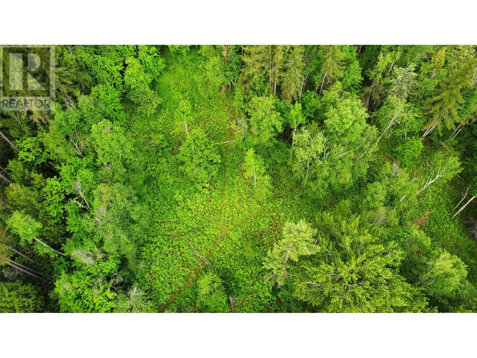 Lot 1 - 9 Arrow Lakes Drive, Castlegar, British Columbia  V1N 3N3 - Photo 11 - 10349514