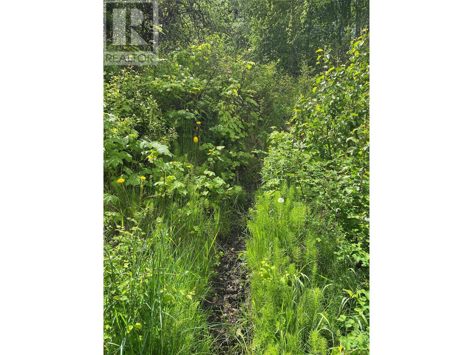 Lot 1 - 9 Arrow Lakes Drive, Castlegar, British Columbia  V1N 3N3 - Photo 16 - 10349514