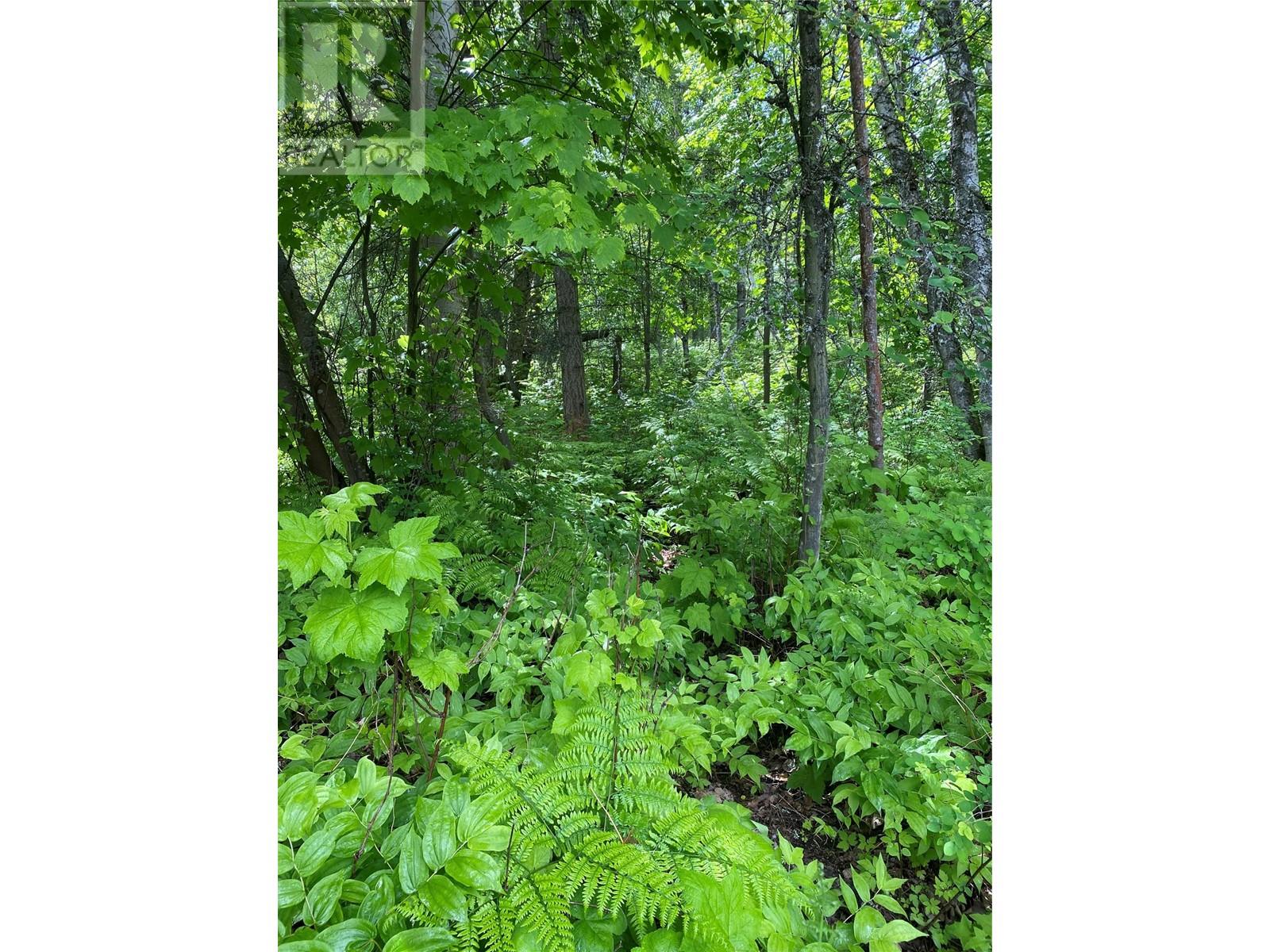 Lot 1 - 9 Arrow Lakes Drive, Castlegar, British Columbia  V1N 3N3 - Photo 17 - 10349514