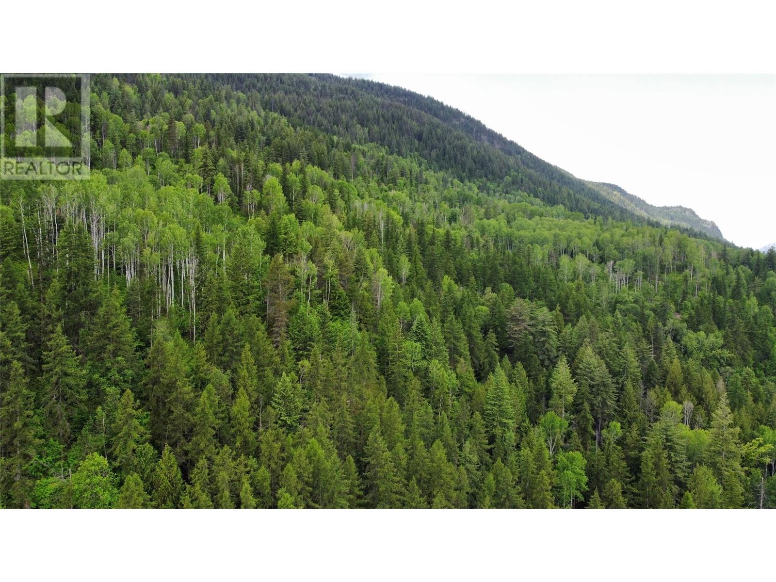 Lot 1 - 9 Arrow Lakes Drive, Castlegar, British Columbia  V1N 3N3 - Photo 3 - 10349514