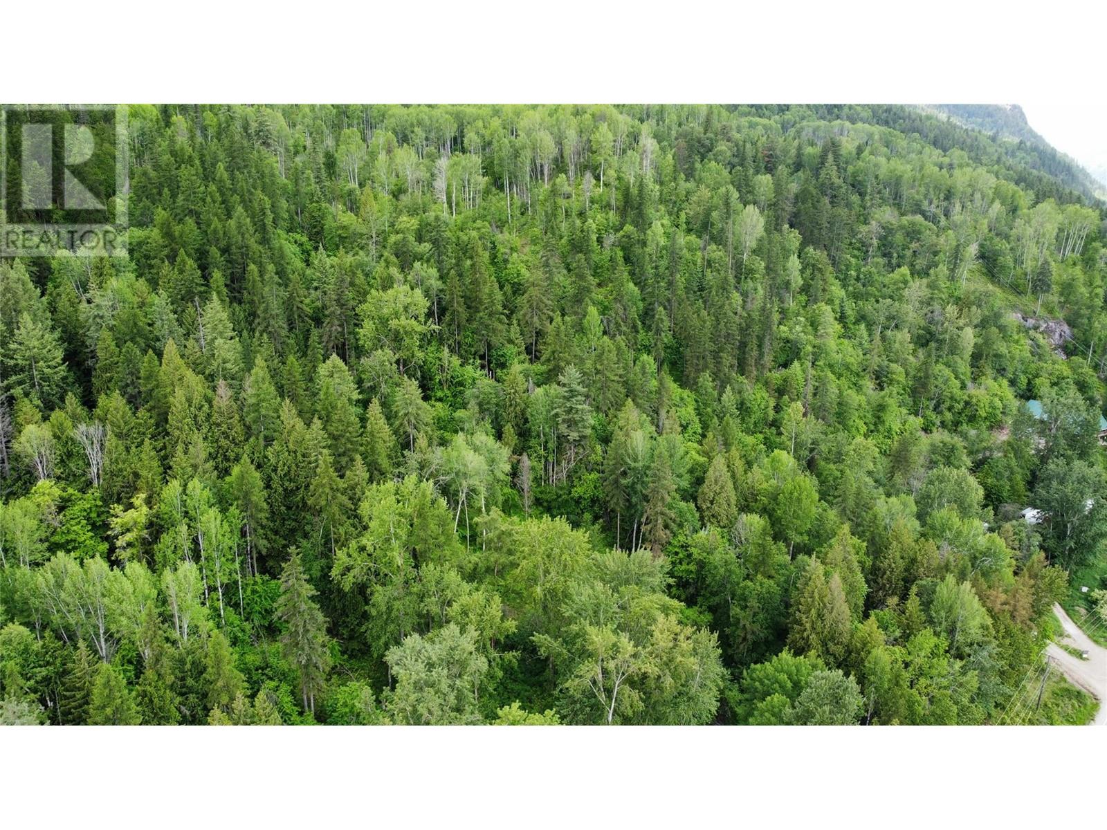 Lot 1 - 9 Arrow Lakes Drive, Castlegar, British Columbia  V1N 3N3 - Photo 4 - 10349514