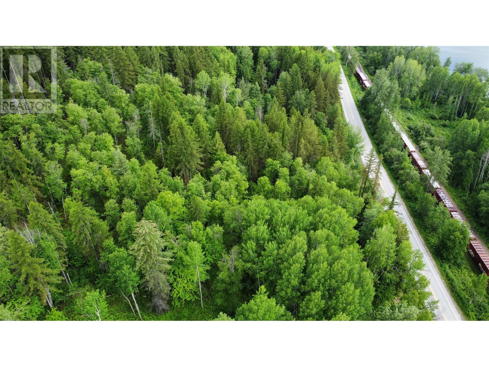 Lot 1 - 9 Arrow Lakes Drive, Castlegar, British Columbia  V1N 3N3 - Photo 6 - 10349514