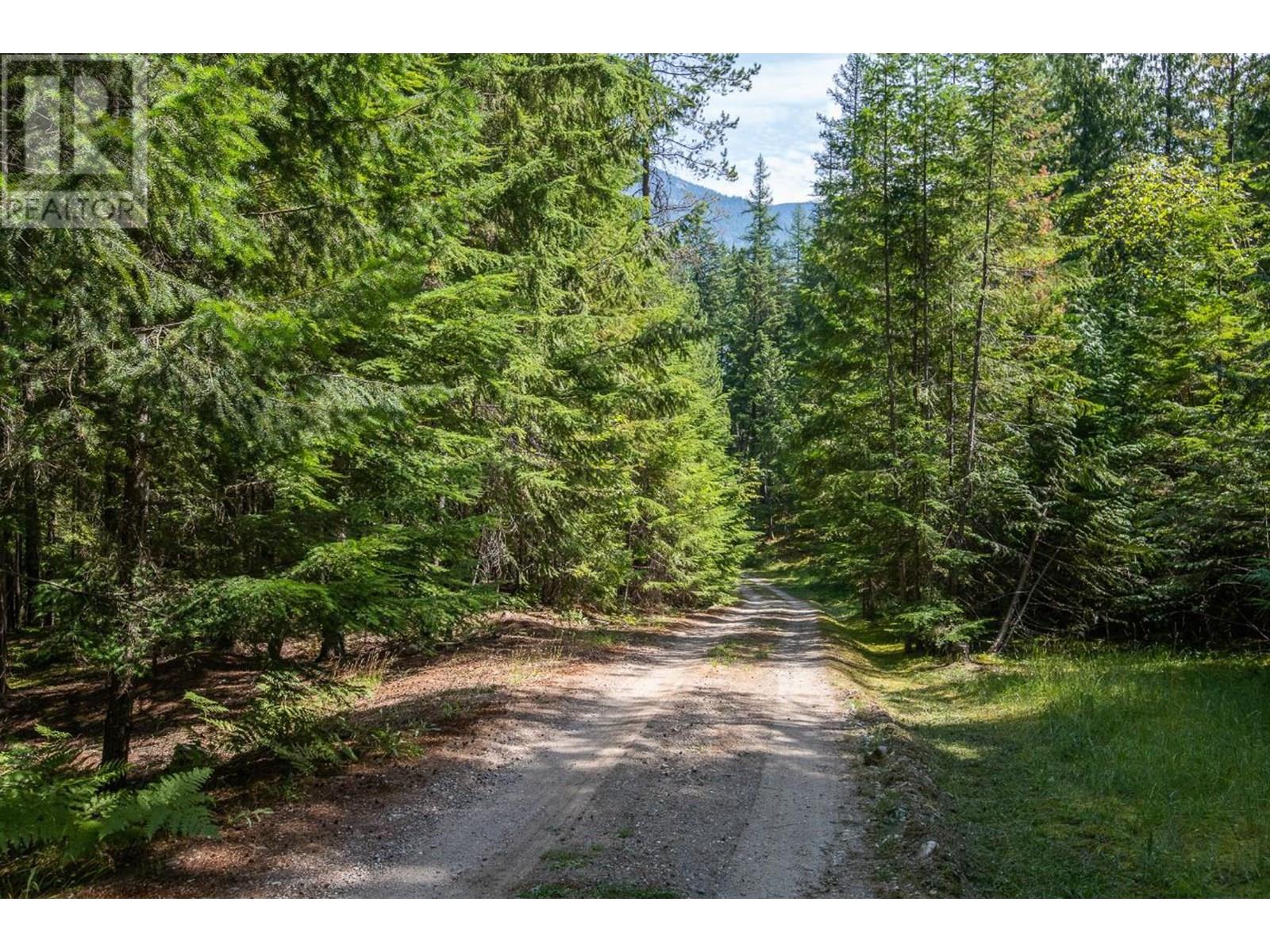 15730 Peters Road, Crawford Bay, British Columbia  V0B 1E0 - Photo 39 - 10349749