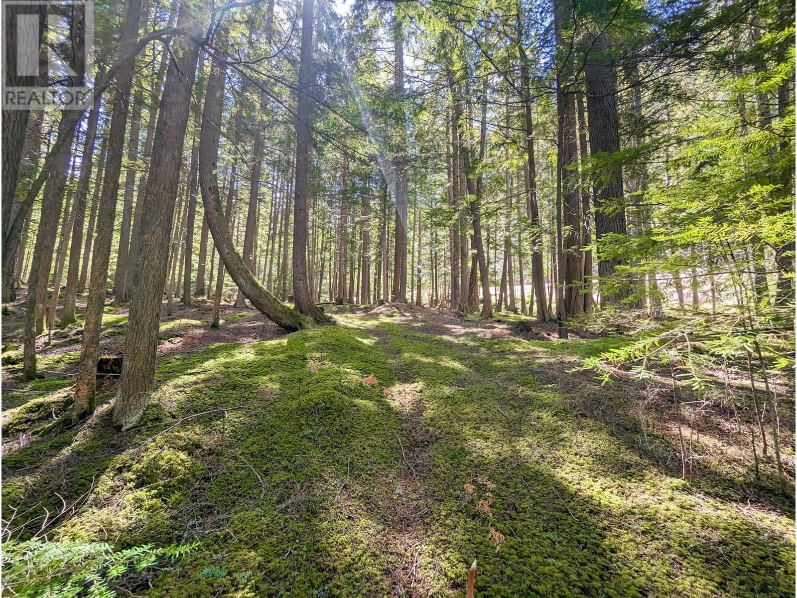 15730 Peters Road, Crawford Bay, British Columbia  V0B 1E0 - Photo 42 - 10349749