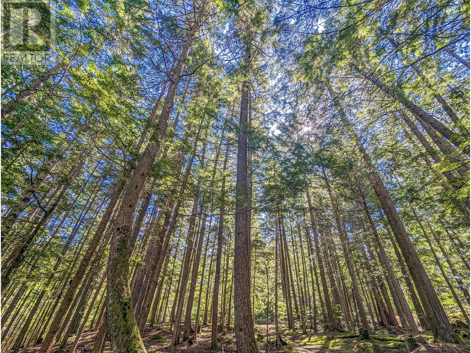 15730 Peters Road, Crawford Bay, British Columbia  V0B 1E0 - Photo 43 - 10349749