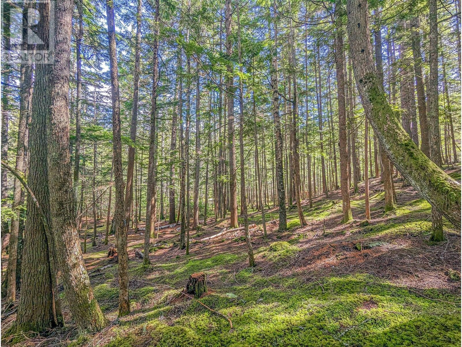 15730 Peters Road, Crawford Bay, British Columbia  V0B 1E0 - Photo 44 - 10349749