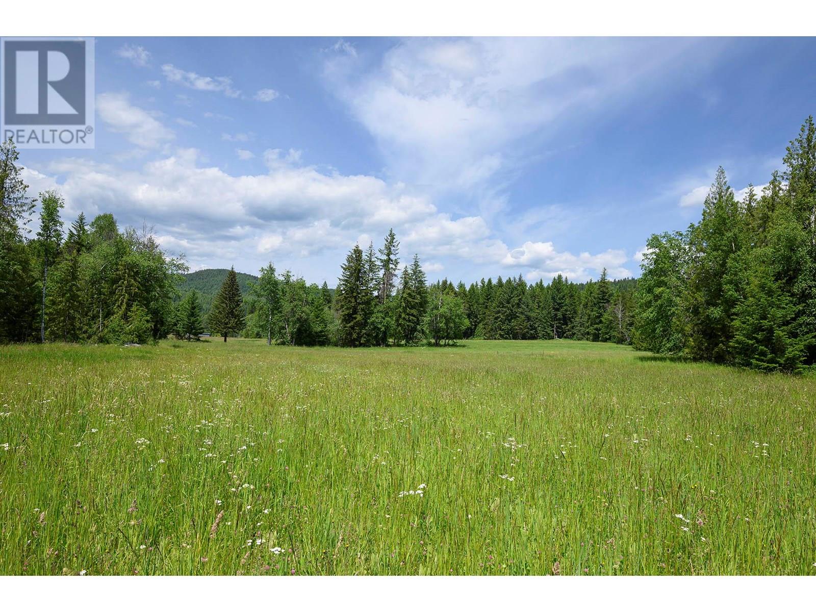 937 Clearwater Village Road, Clearwater, British Columbia  V0E 1N1 - Photo 1 - 10349794