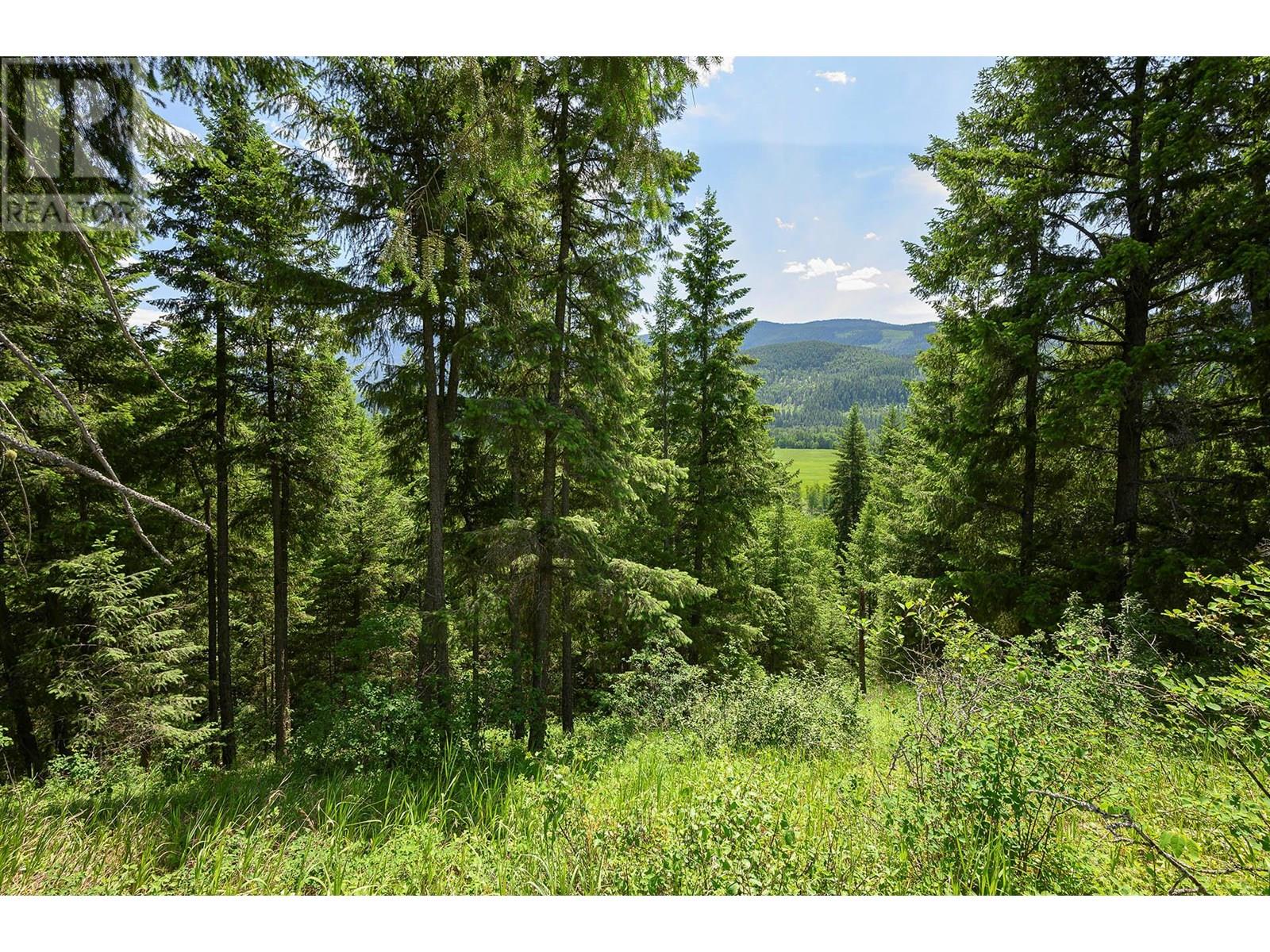 937 Clearwater Village Road, Clearwater, British Columbia  V0E 1N1 - Photo 2 - 10349794