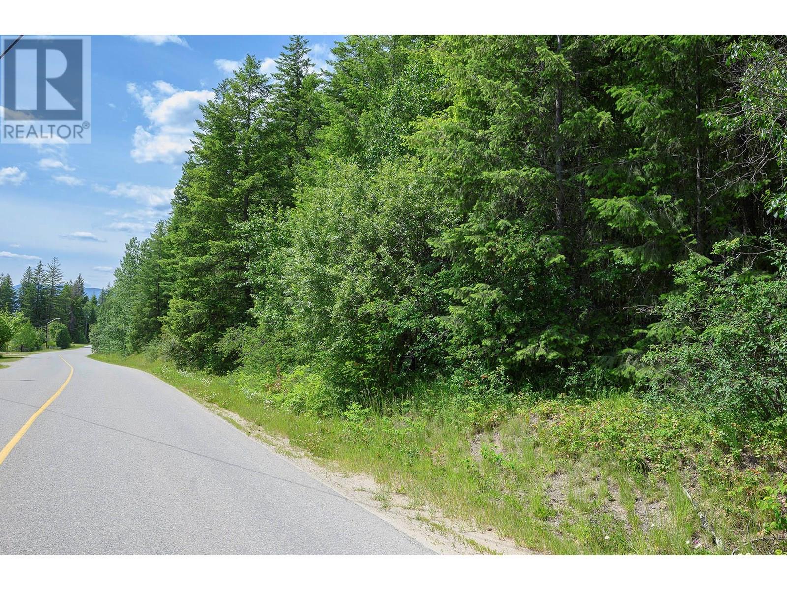 937 Clearwater Village Road, Clearwater, British Columbia  V0E 1N1 - Photo 4 - 10349794