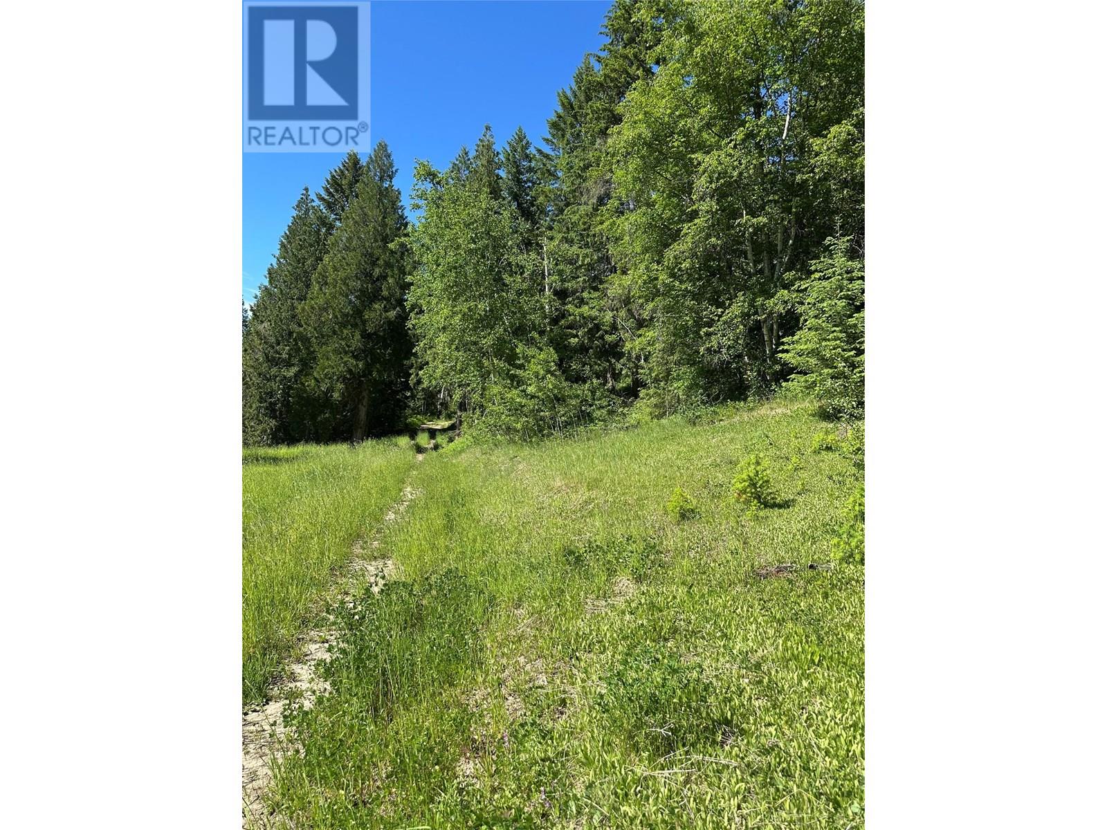 937 Clearwater Village Road, Clearwater, British Columbia  V0E 1N1 - Photo 5 - 10349794