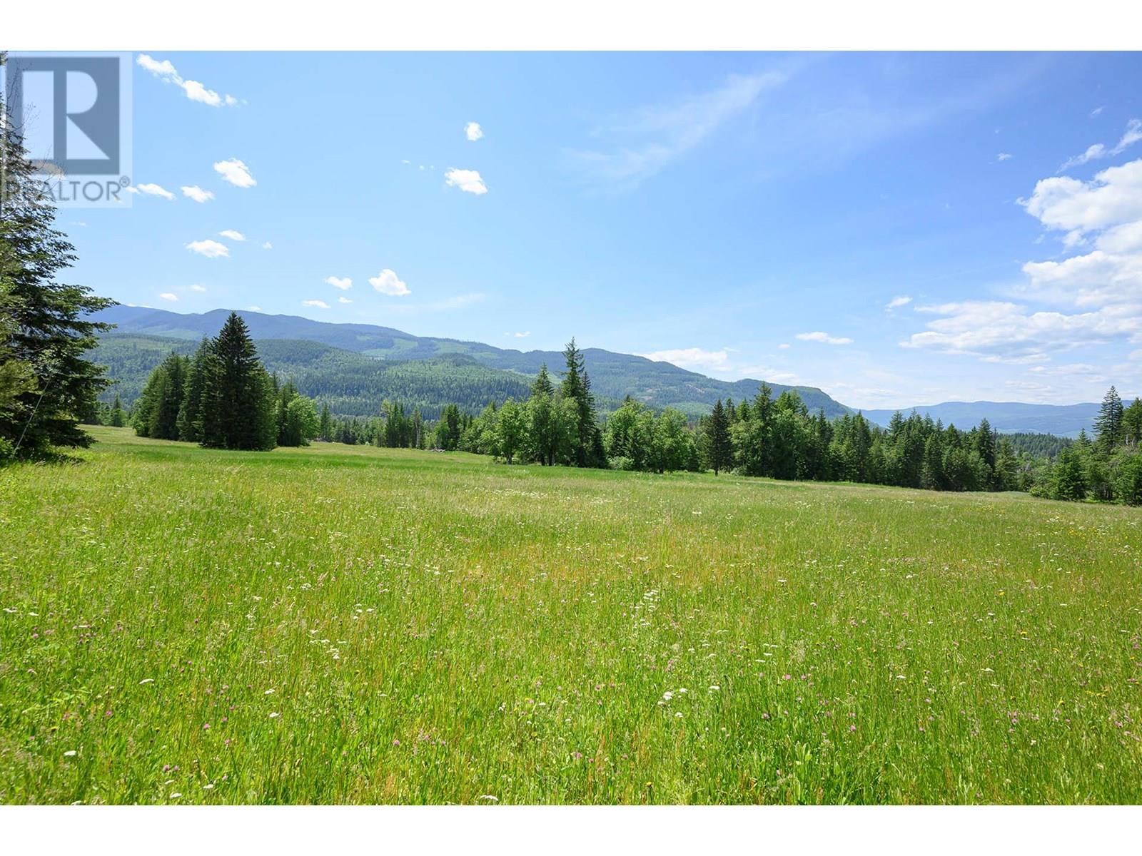 943 Raft River Road, Clearwater, British Columbia  V0E 1N1 - Photo 1 - 10349762