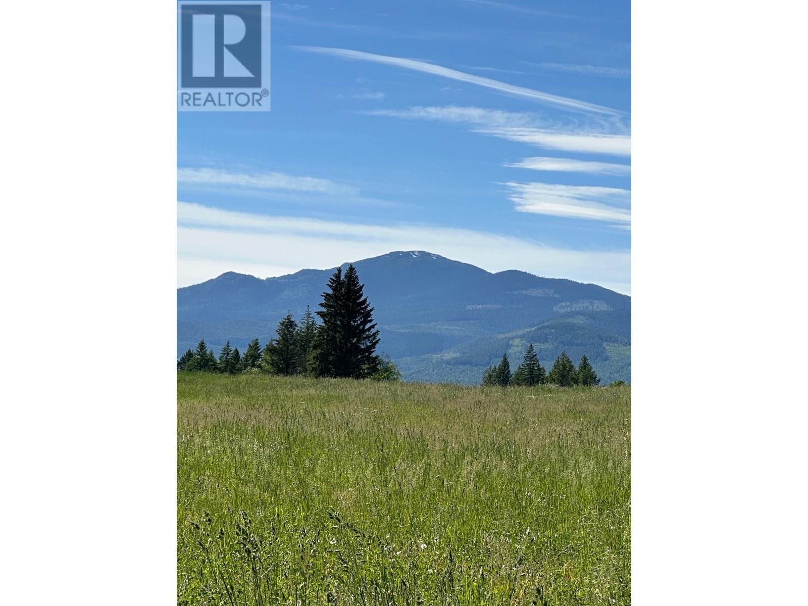 943 Raft River Road, Clearwater, British Columbia  V0E 1N1 - Photo 12 - 10349762