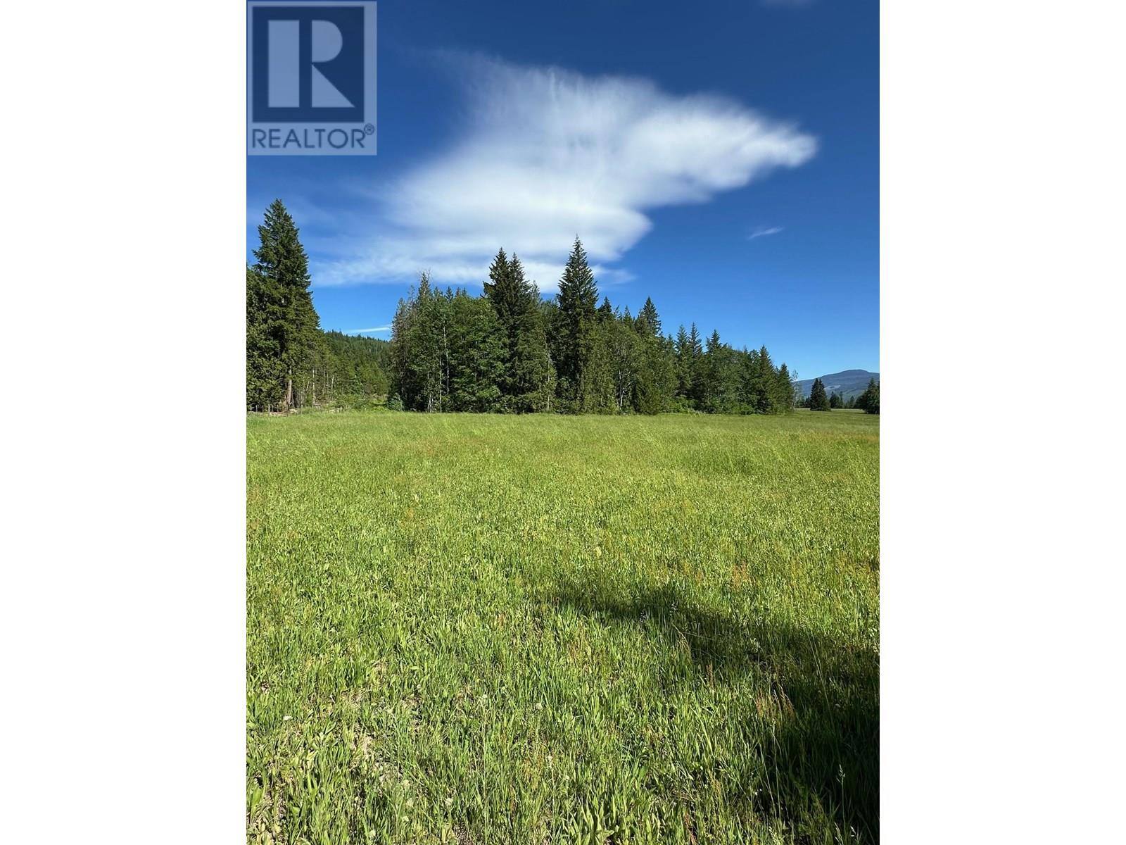 943 Raft River Road, Clearwater, British Columbia  V0E 1N1 - Photo 17 - 10349762