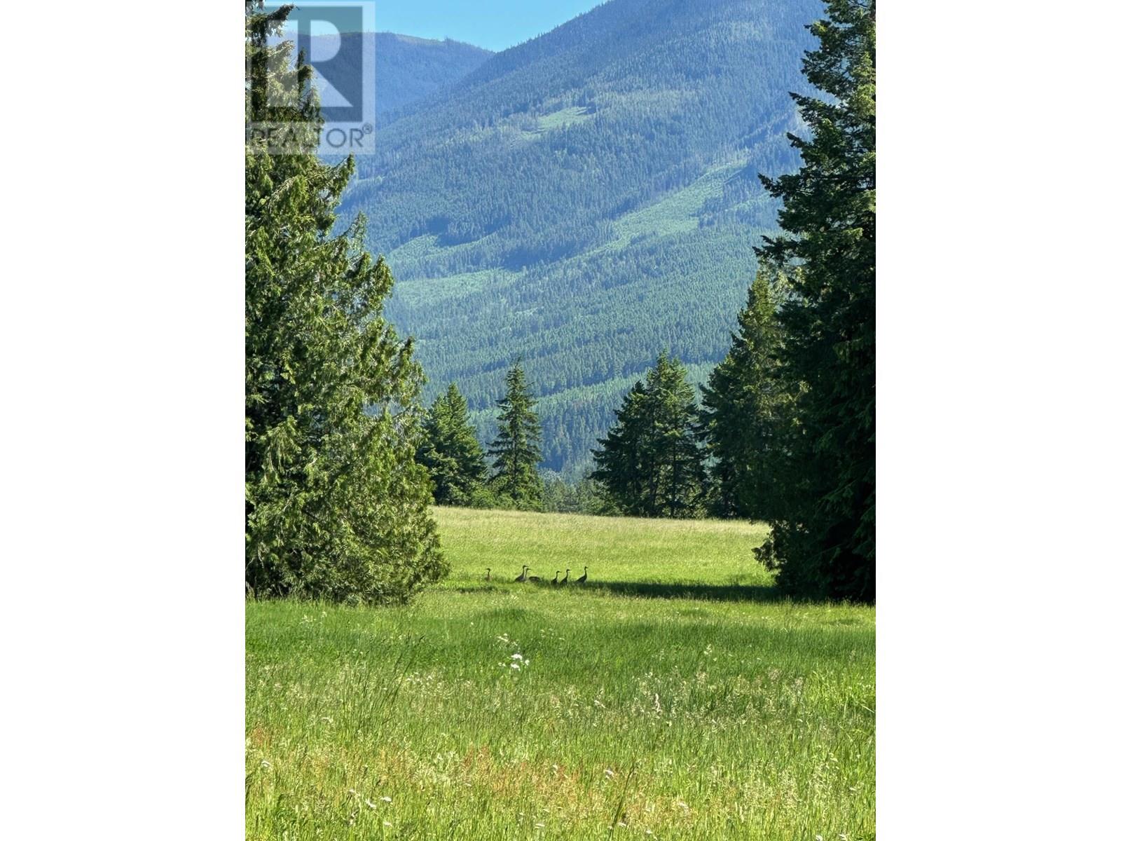 943 Raft River Road, Clearwater, British Columbia  V0E 1N1 - Photo 18 - 10349762