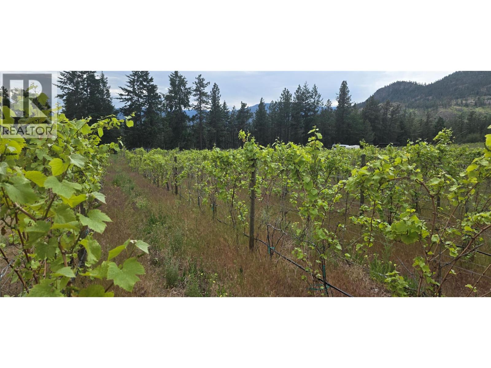 5078 Cousins Place, Peachland, British Columbia  V0x 1X2 - Photo 11 - 10350115