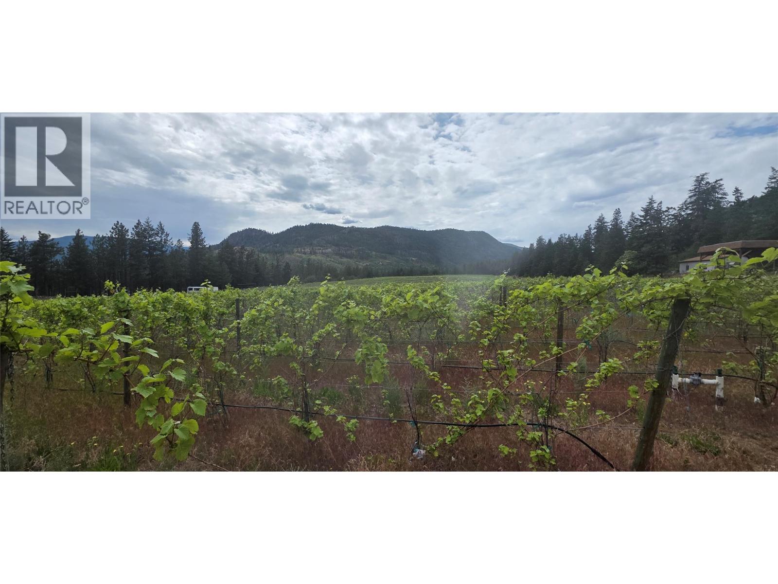 5078 Cousins Place, Peachland, British Columbia  V0x 1X2 - Photo 13 - 10350115