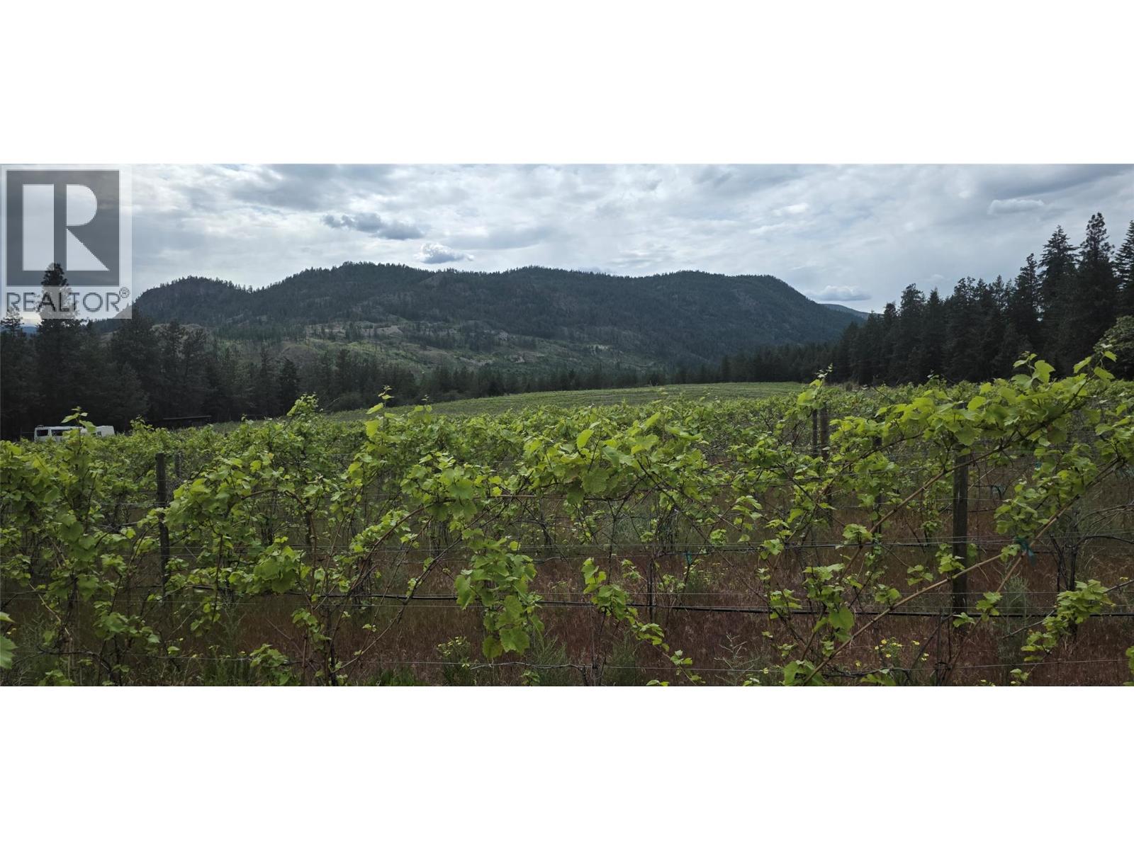 5078 Cousins Place, Peachland, British Columbia  V0x 1X2 - Photo 15 - 10350115