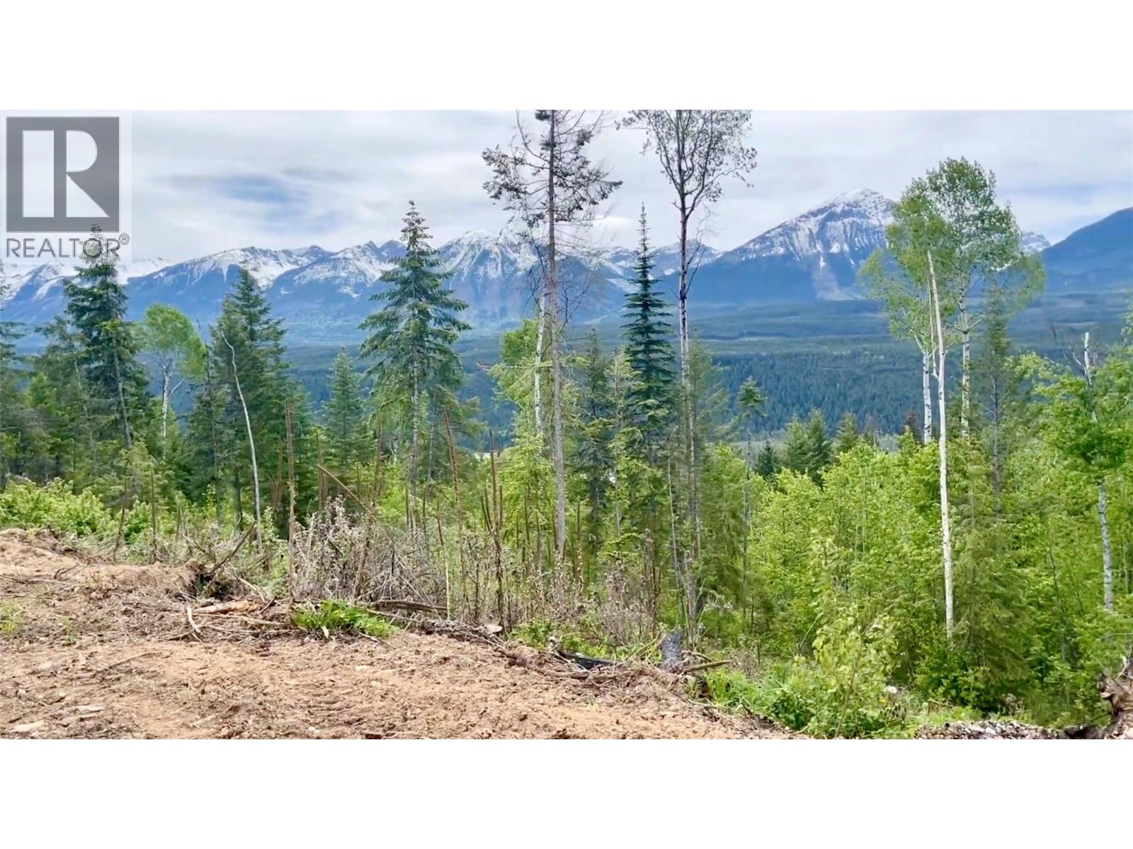 Ls15 Adolph Johnson Road, Golden, British Columbia  V0A 1H0 - Photo 2 - 10350480