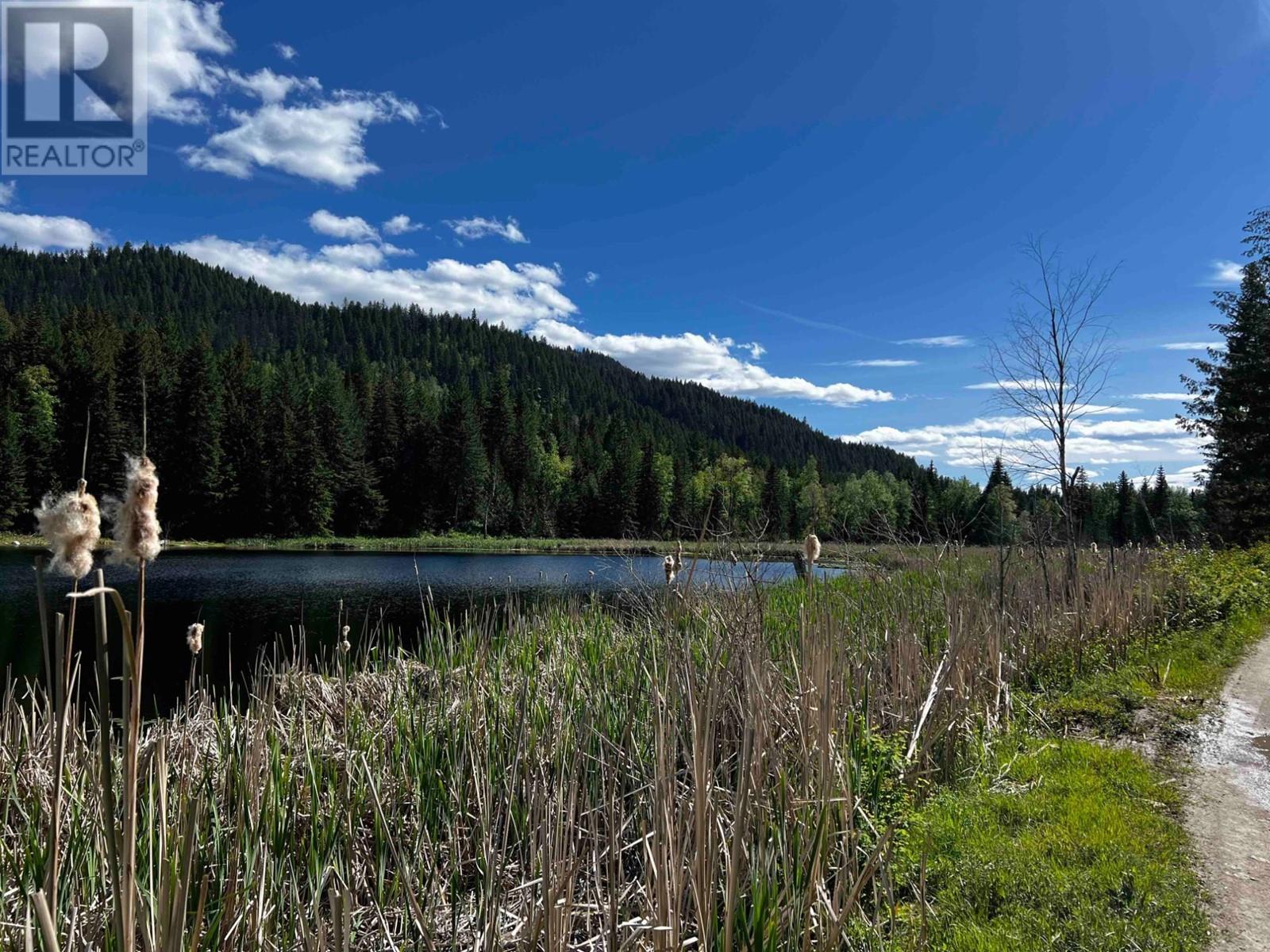 5031 Willow Road, Kamloops, British Columbia  V0E 2P0 - Photo 8 - 10350432