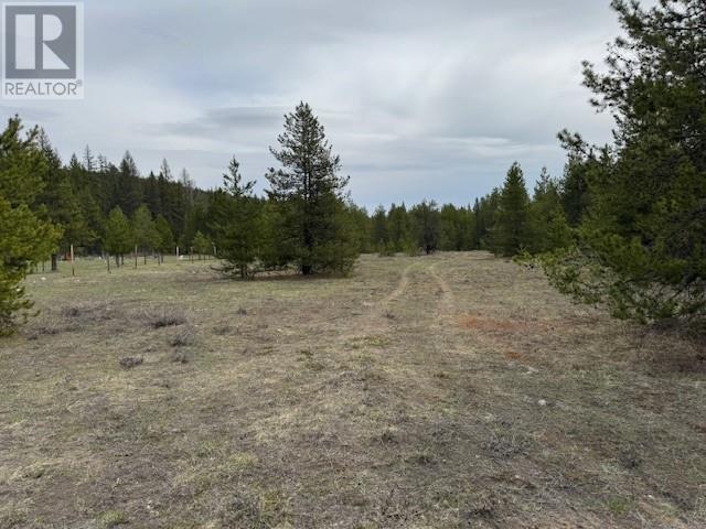 5625 Burton Road Lot# A, Bridesville, British Columbia  V0H 1Y0 - Photo 2 - 10350763